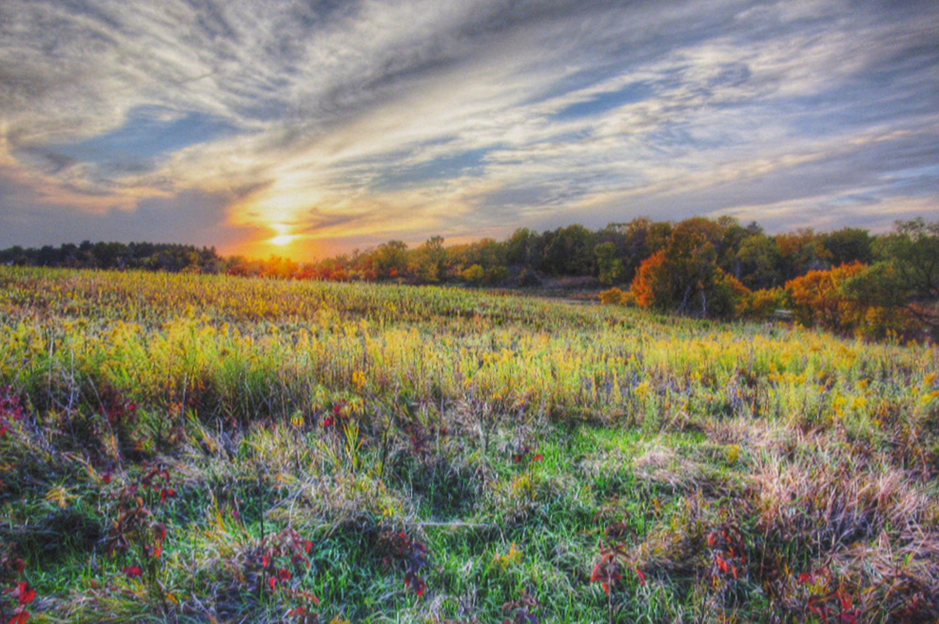 Fall Color on the Prairie by Ken West