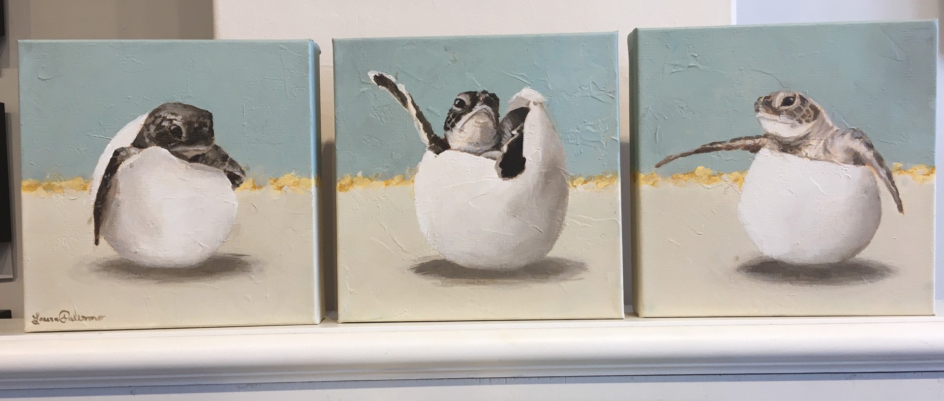 Turtle Hatchlings (Triptych) by Laura Palermo