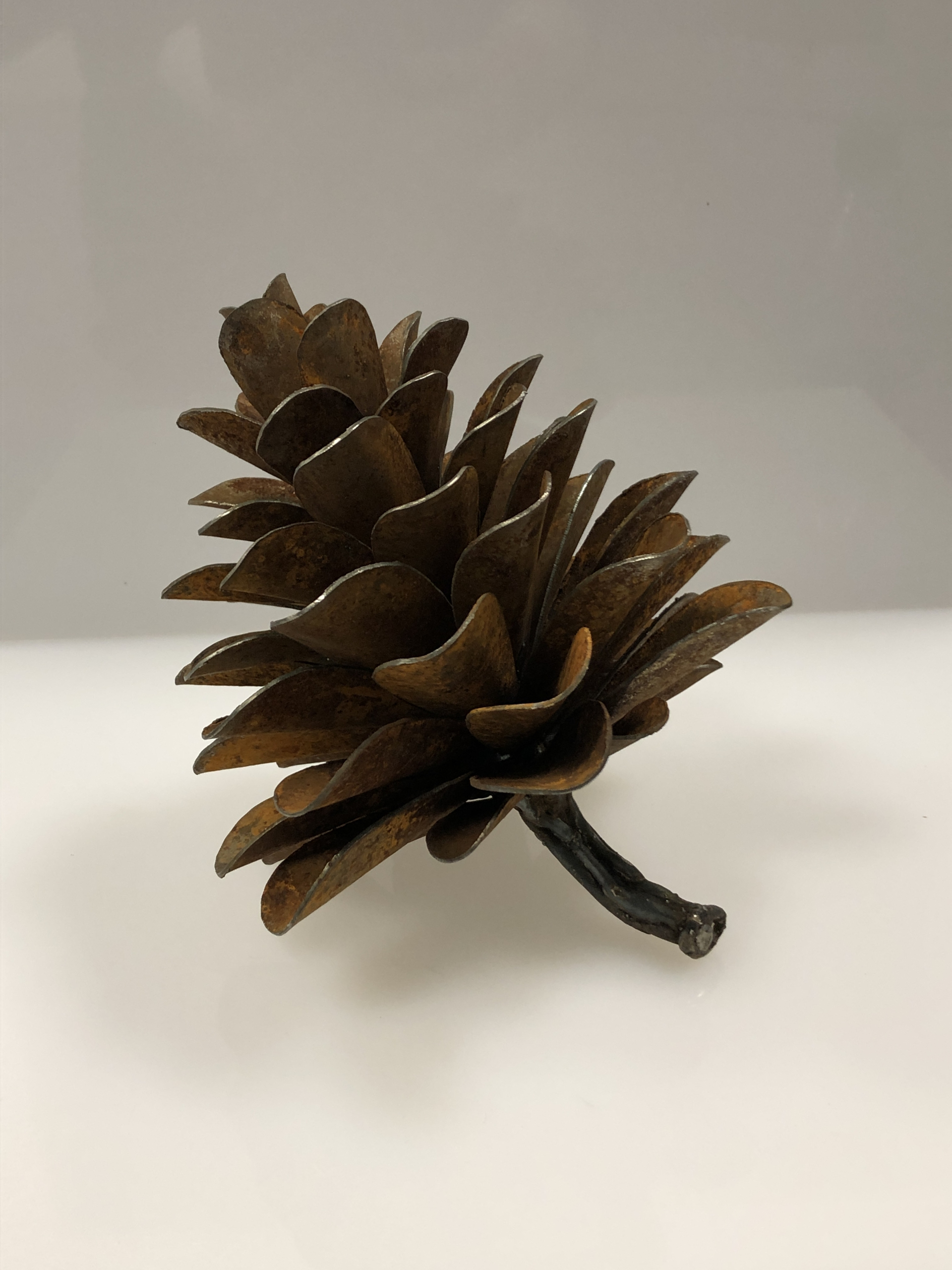 Pine Cone #19-737 by Floyd Elzinga