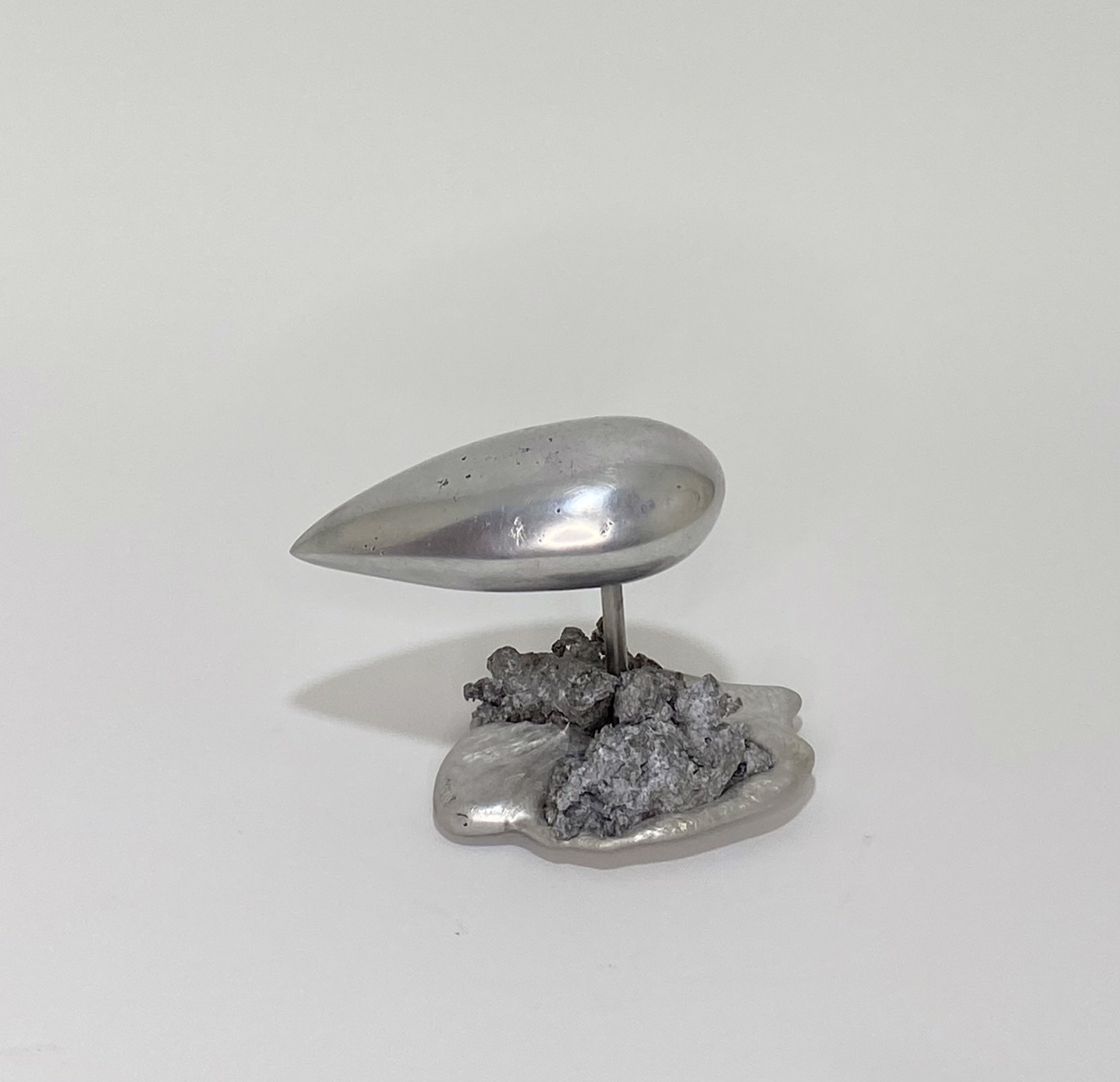 Aluminum Tear Drop II by Wally Asselberghs