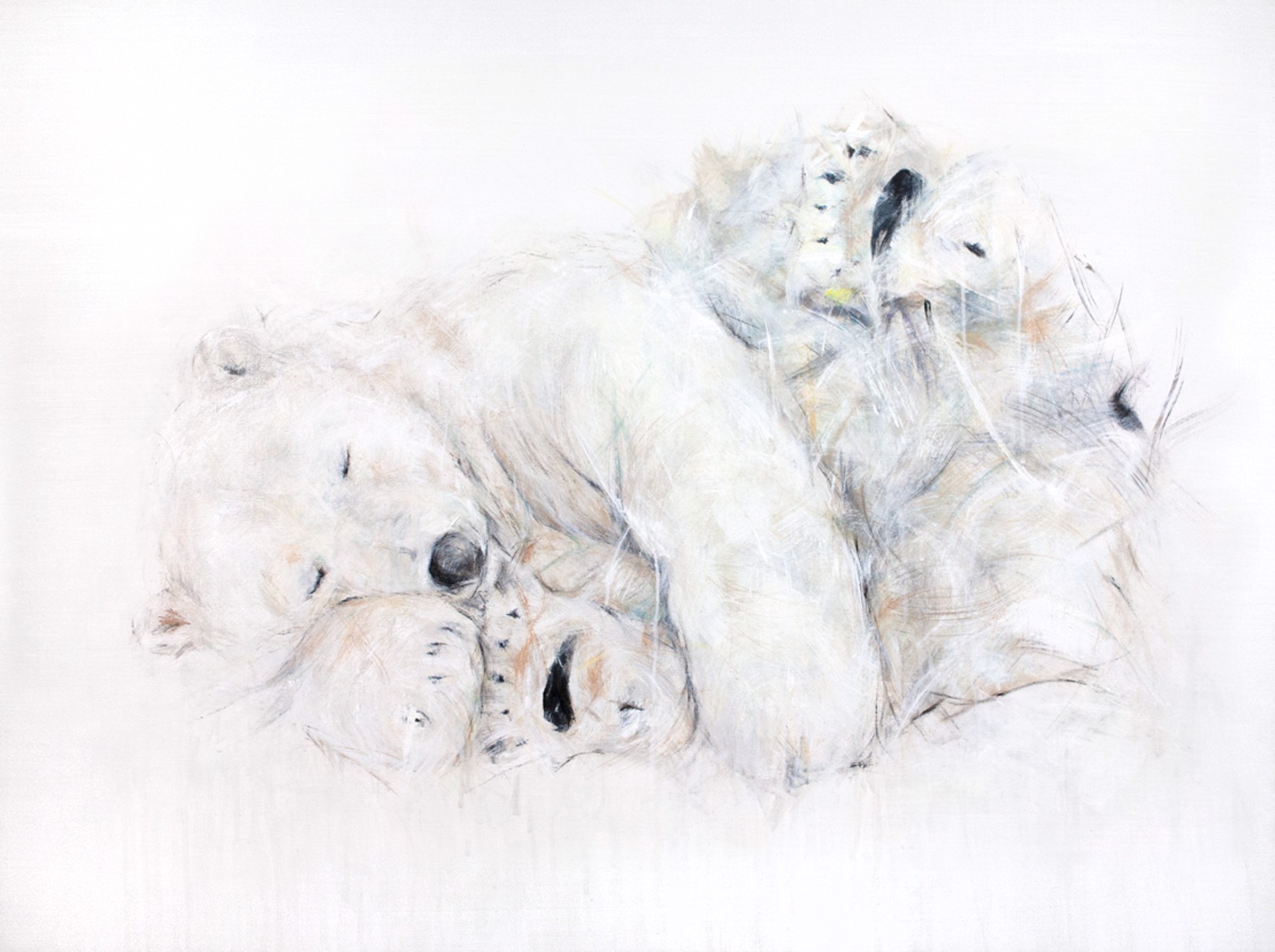 Polar Bear XXVI by Myriam Rousseau