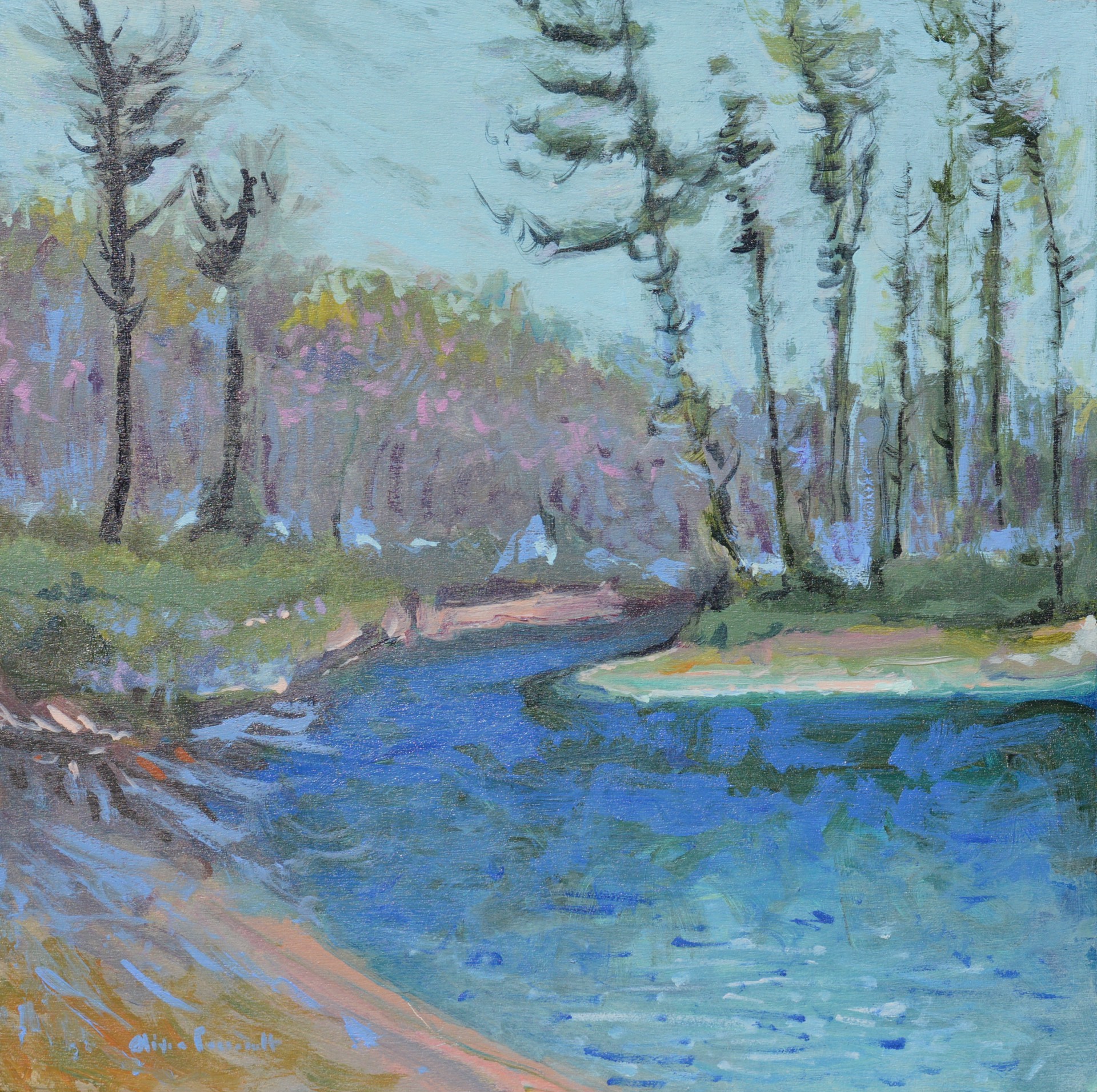 Chattooga River by Olivia Perreault