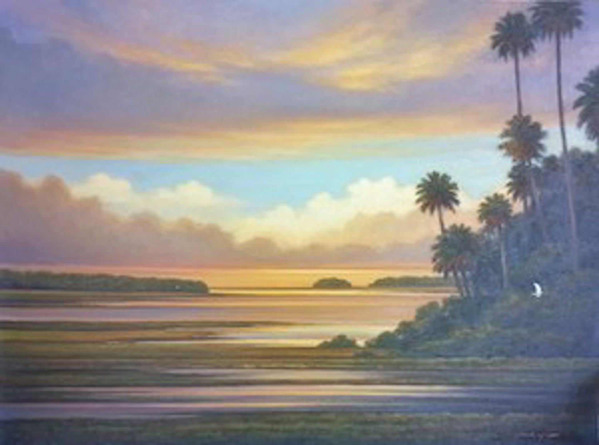 Palms on the River by Peter Pettegrew