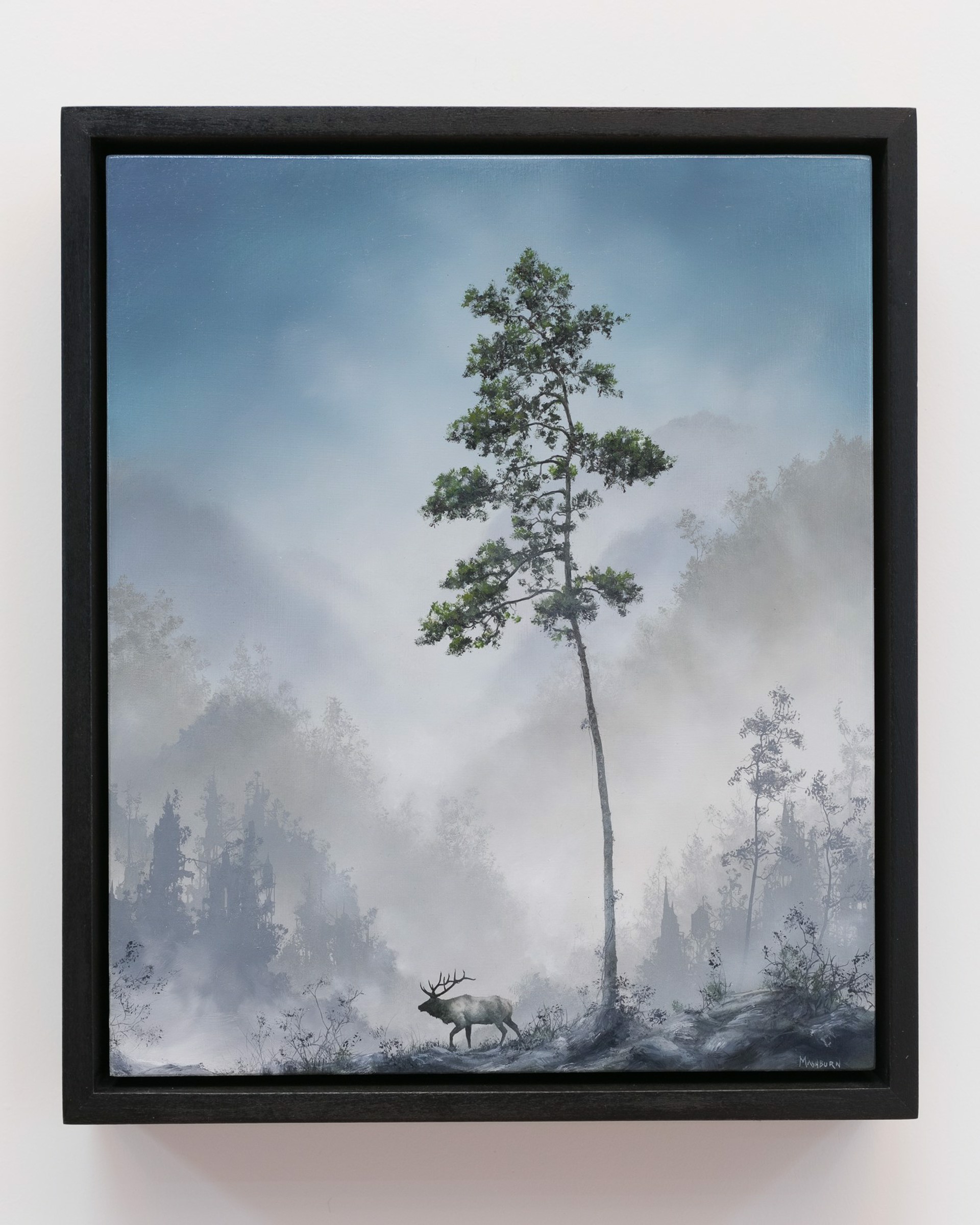 Elk and Pine by Brian Mashburn