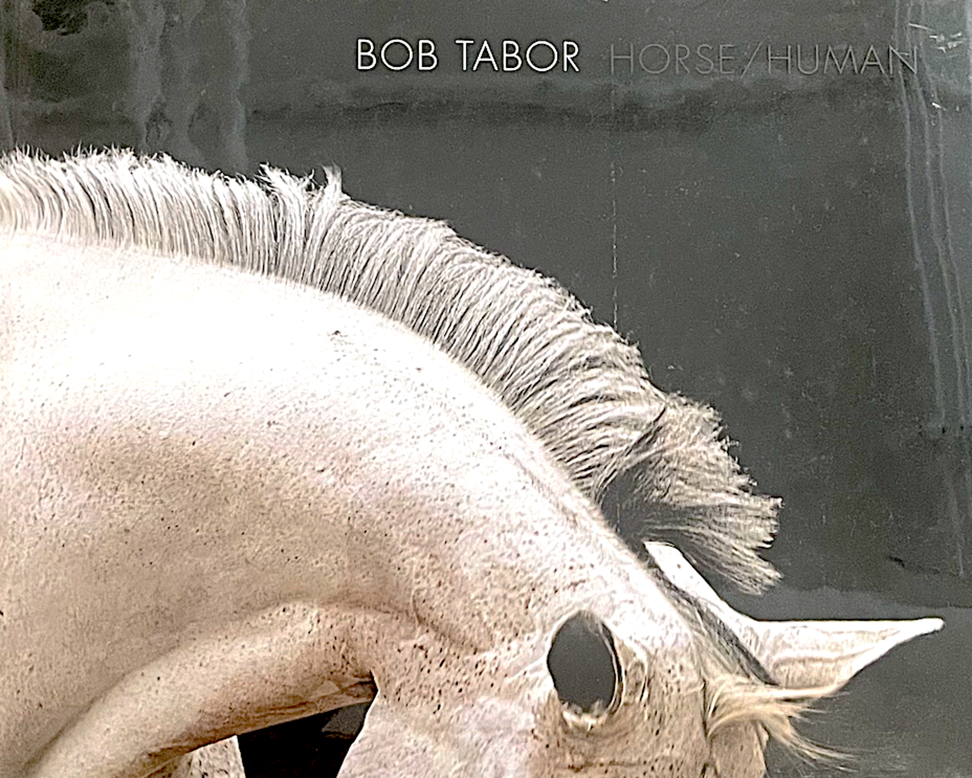 Horse/Human by Bob Tabor