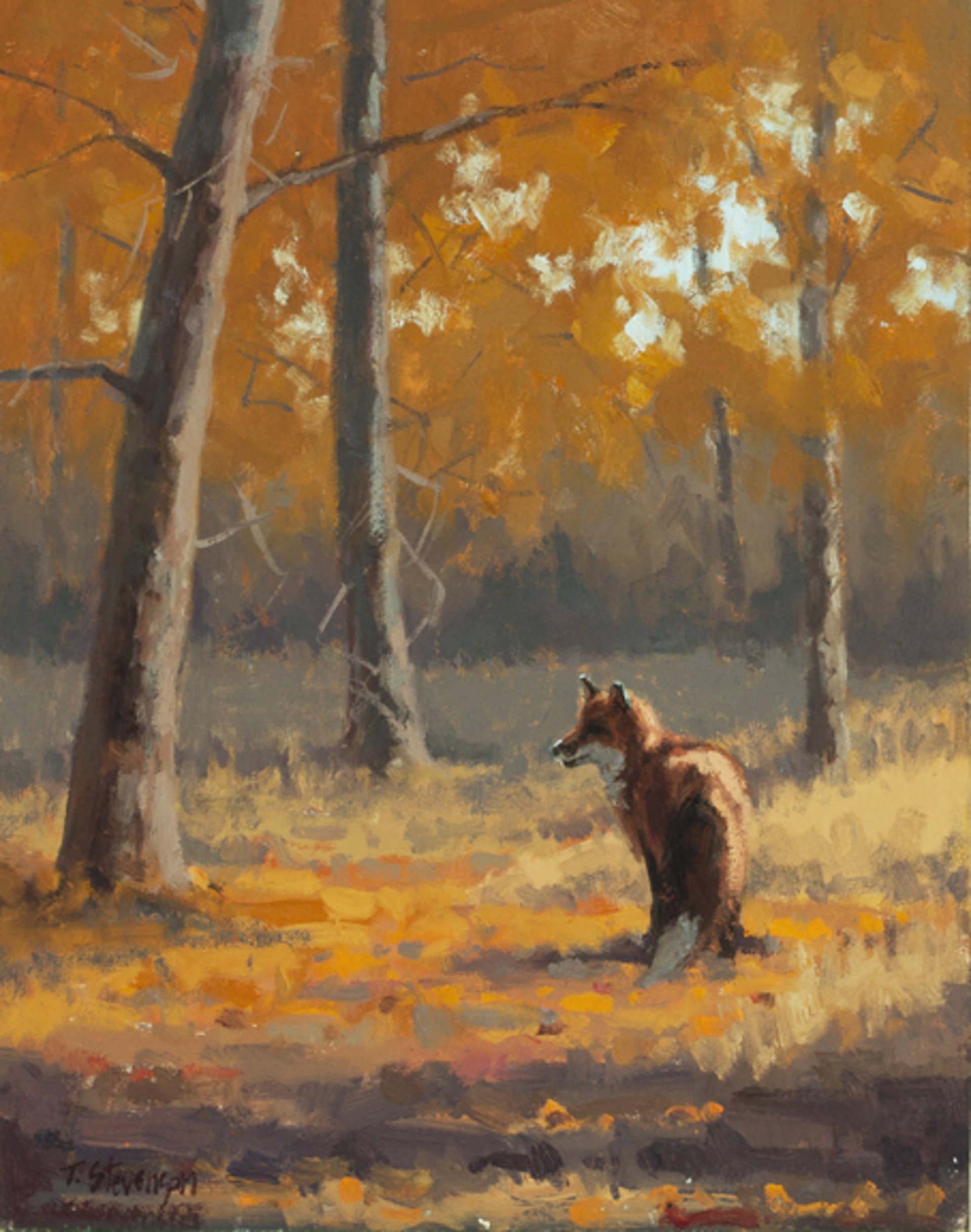 Fall Fox by Tiffany Stevenson