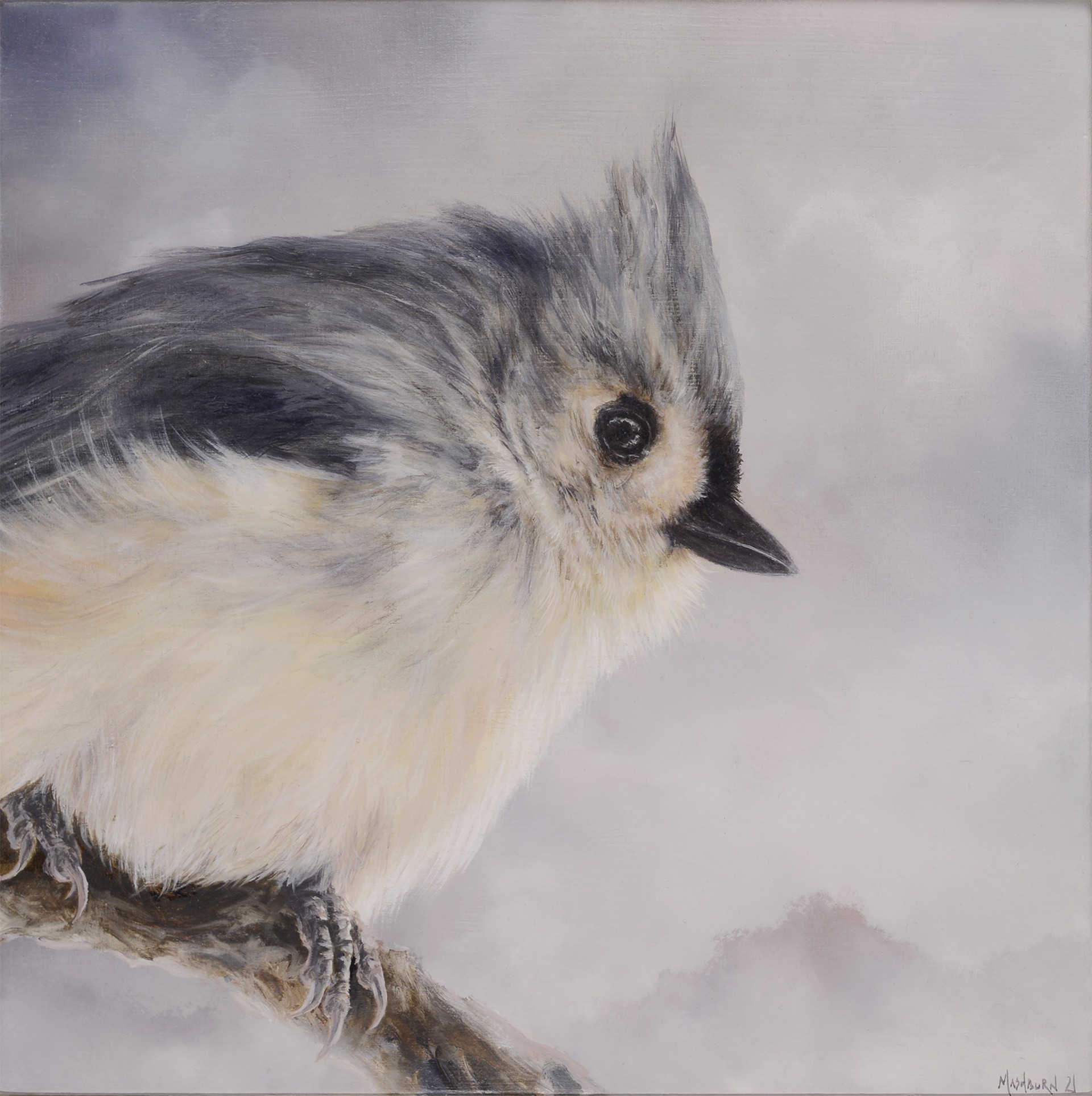 Tufted Titmouse 2 by Brian Mashburn