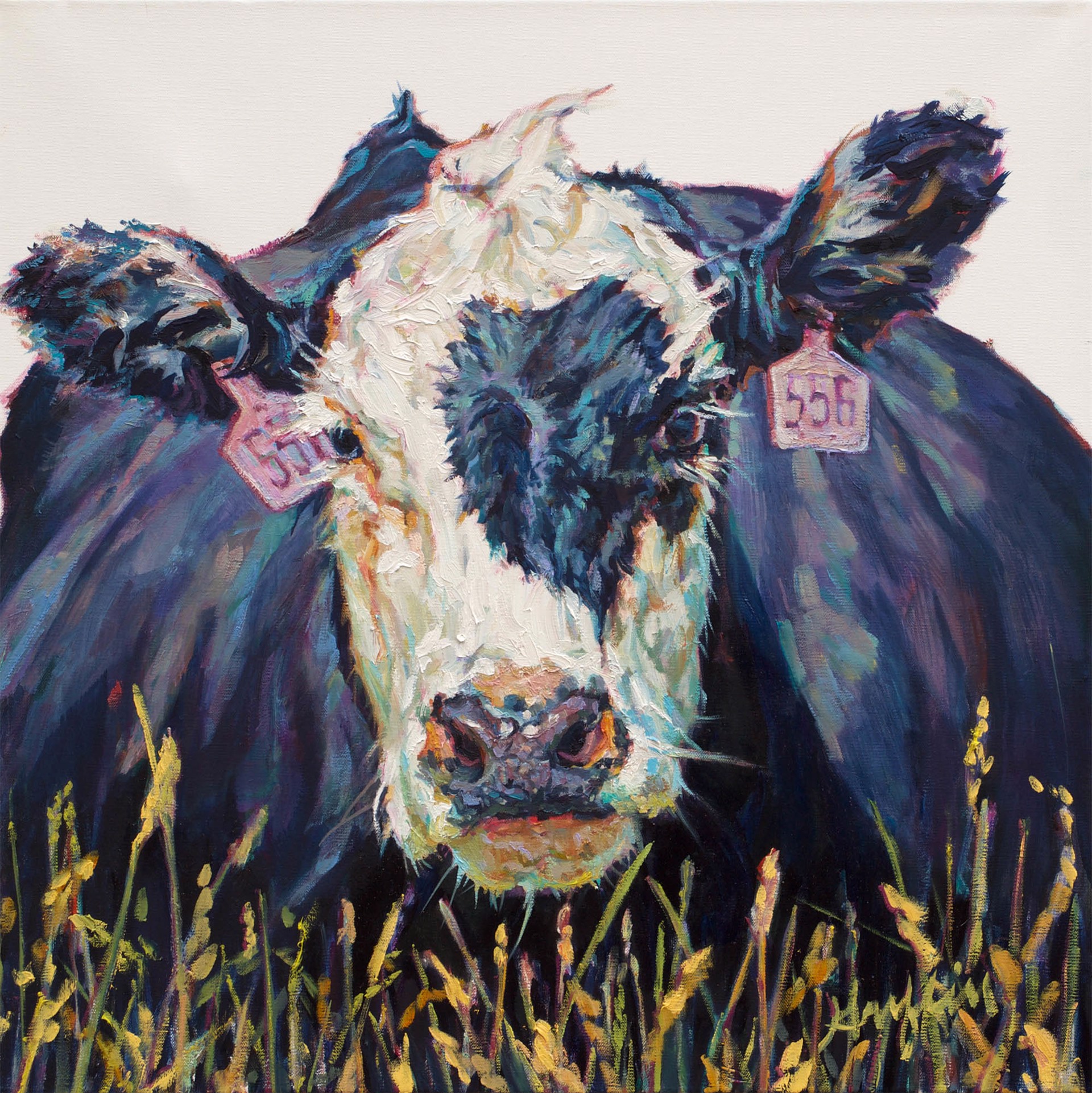 Original Oil Painting Featuring A Black And White Cow With Two Pink Numbered Ear Tags