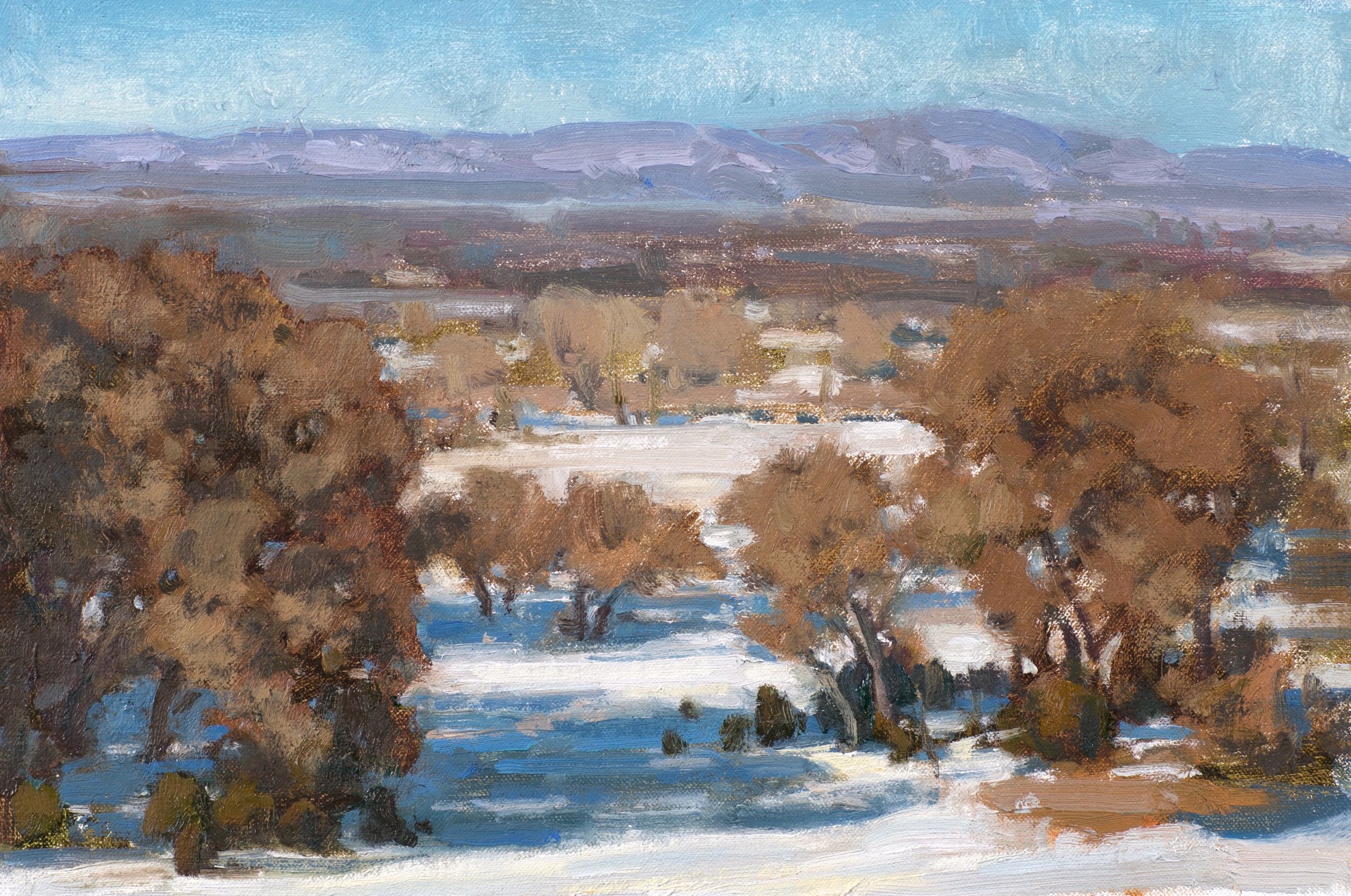 Winter Afternoon Along the Bosque by Bill Gallen