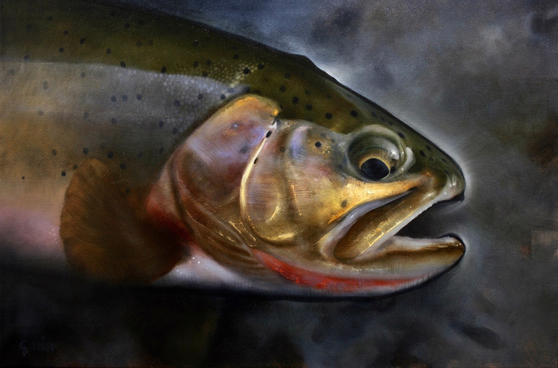 Original Oil Painting Featuring A Cut Throat Trout On Dark Background