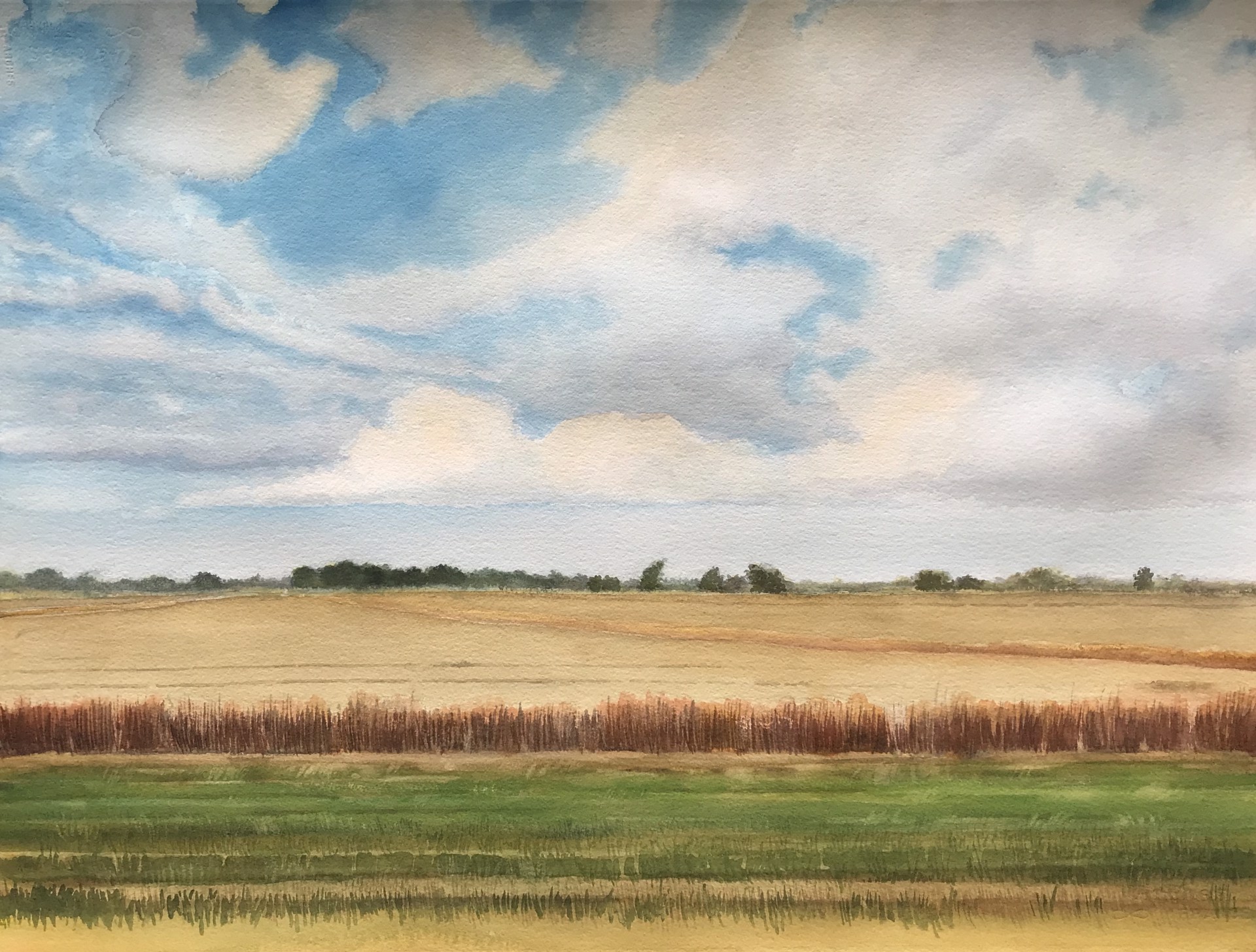 Rice Field, Near Winnie, Late Fall by Ken Mazzu
