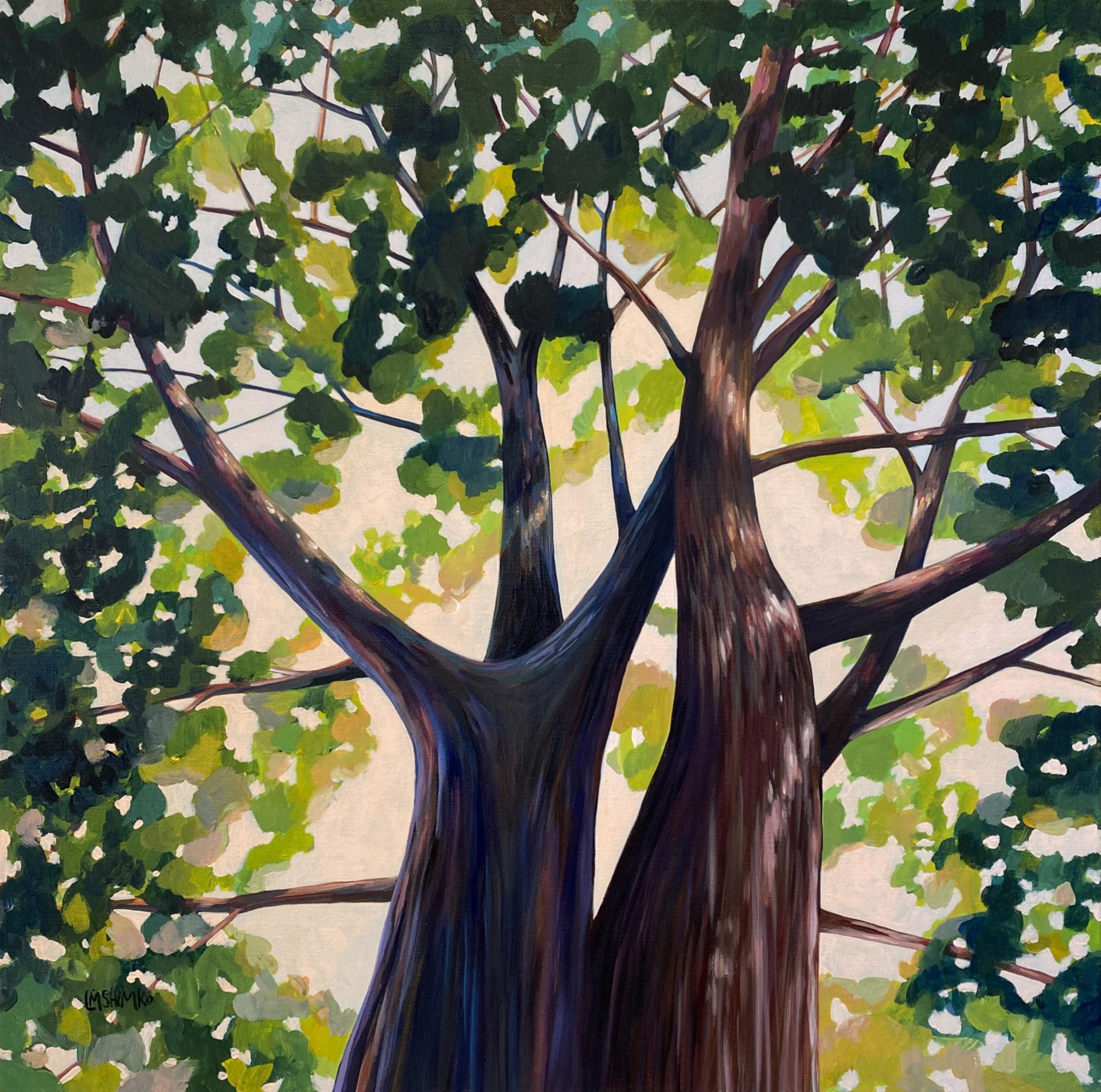 Canopy Entwine Solace by Lisa Shimko