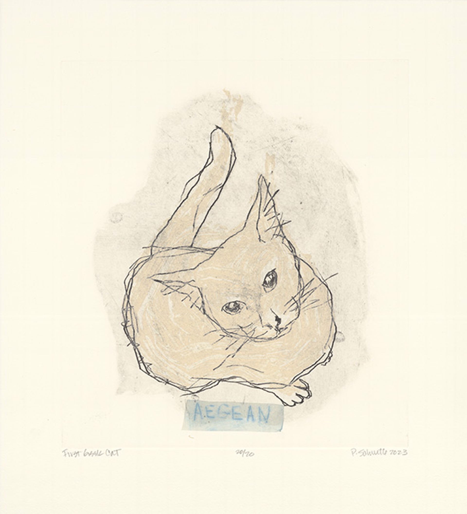 First Greek Cat (Aegean) by Paula Schuette Kraemer