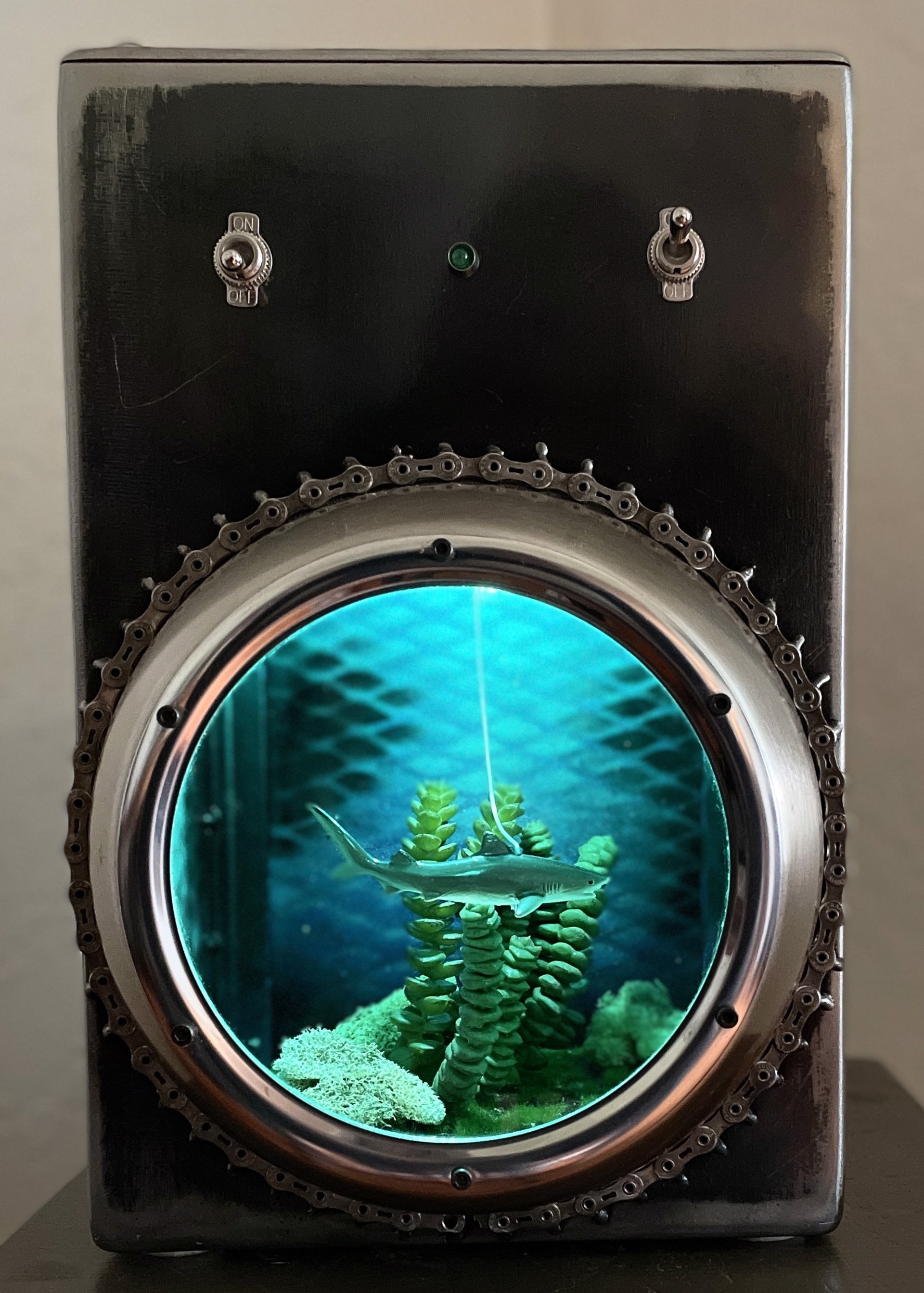 Enzo (Shark Tank with Viewing Portal) by Chris Cole