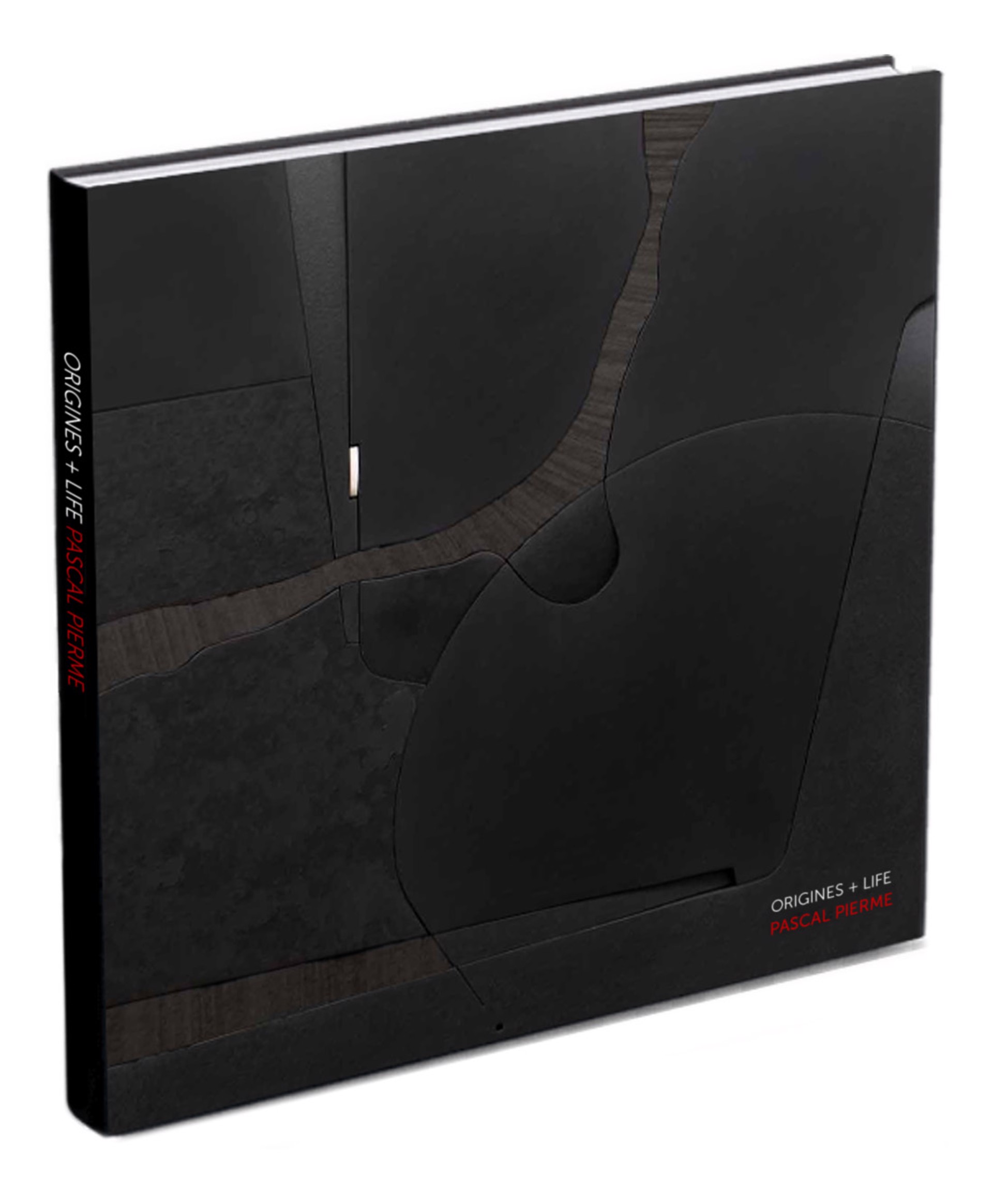 Origines + Life (B3-39 ) by Pascal Piermé Book