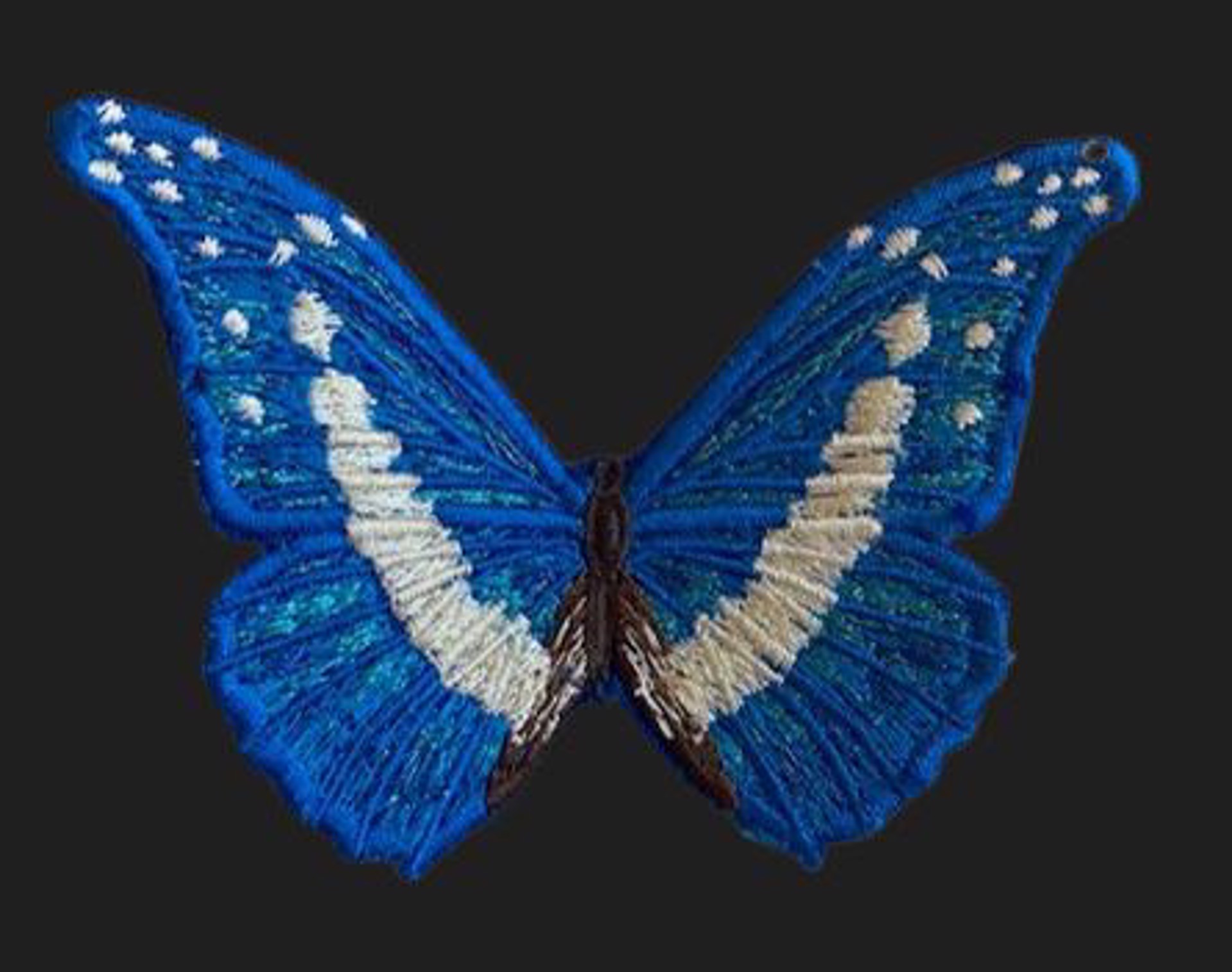 Blue Butterfly 4" by Stephen Wilson