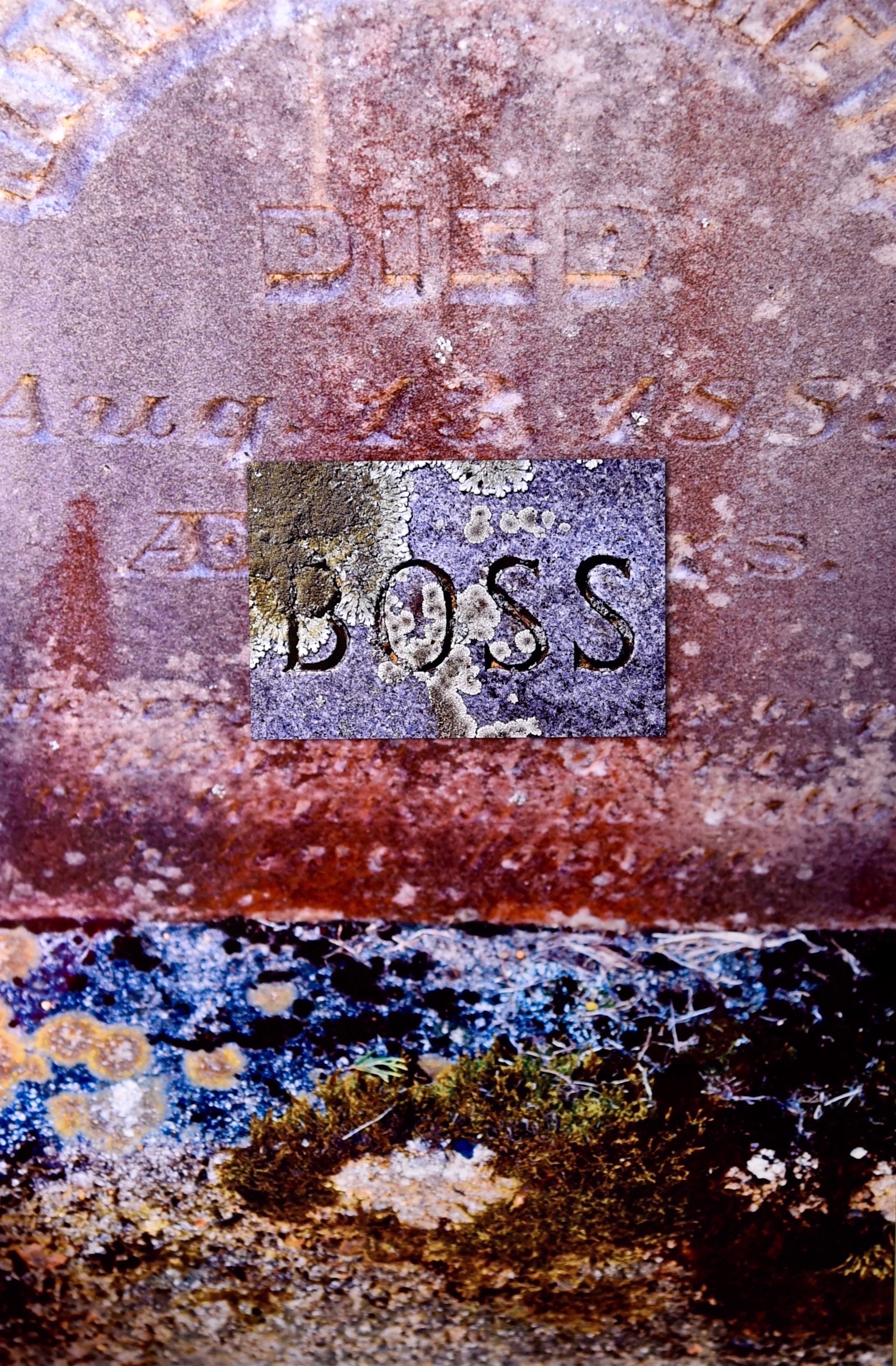 Boss by Kat O'Neill