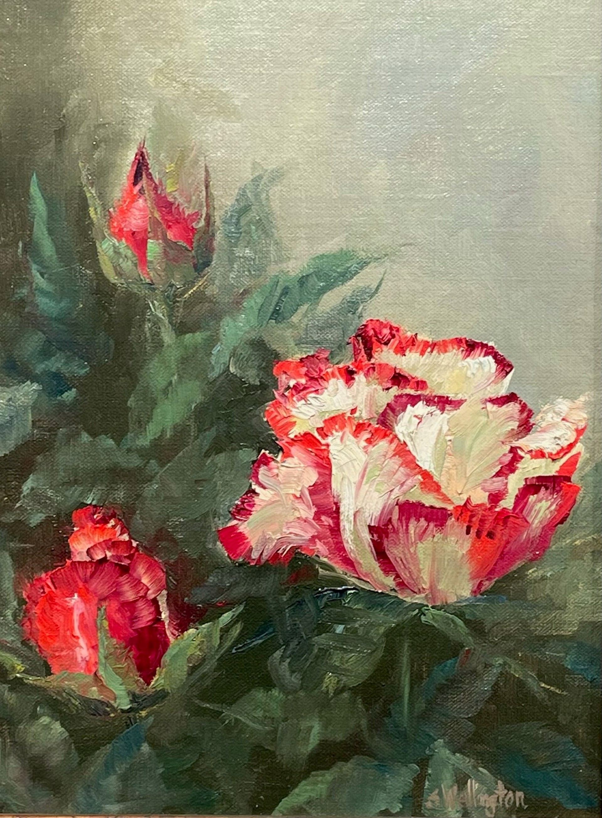 Paloma Roses by Susan Wellington