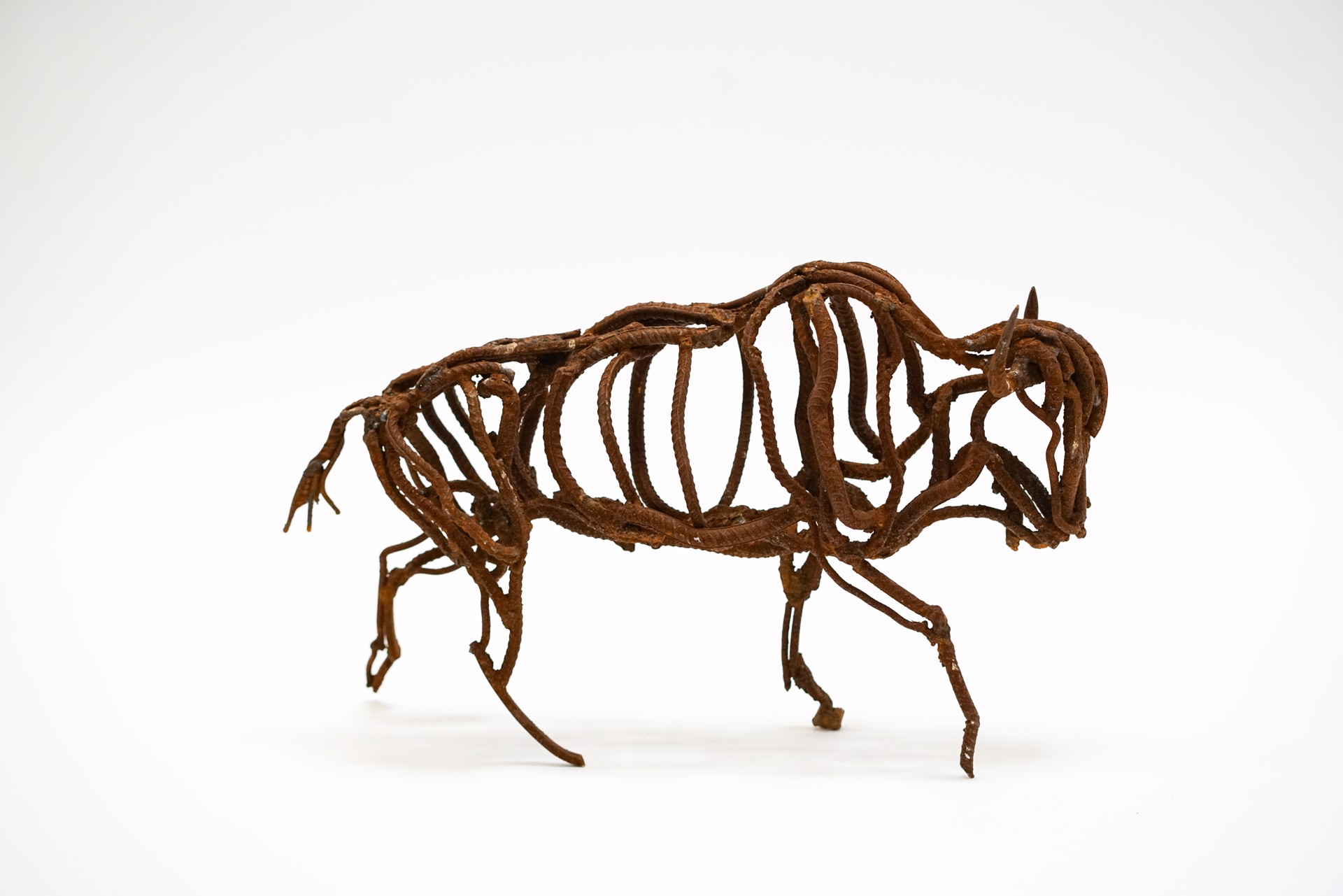 Tiny Bison by Wendy Klemperer