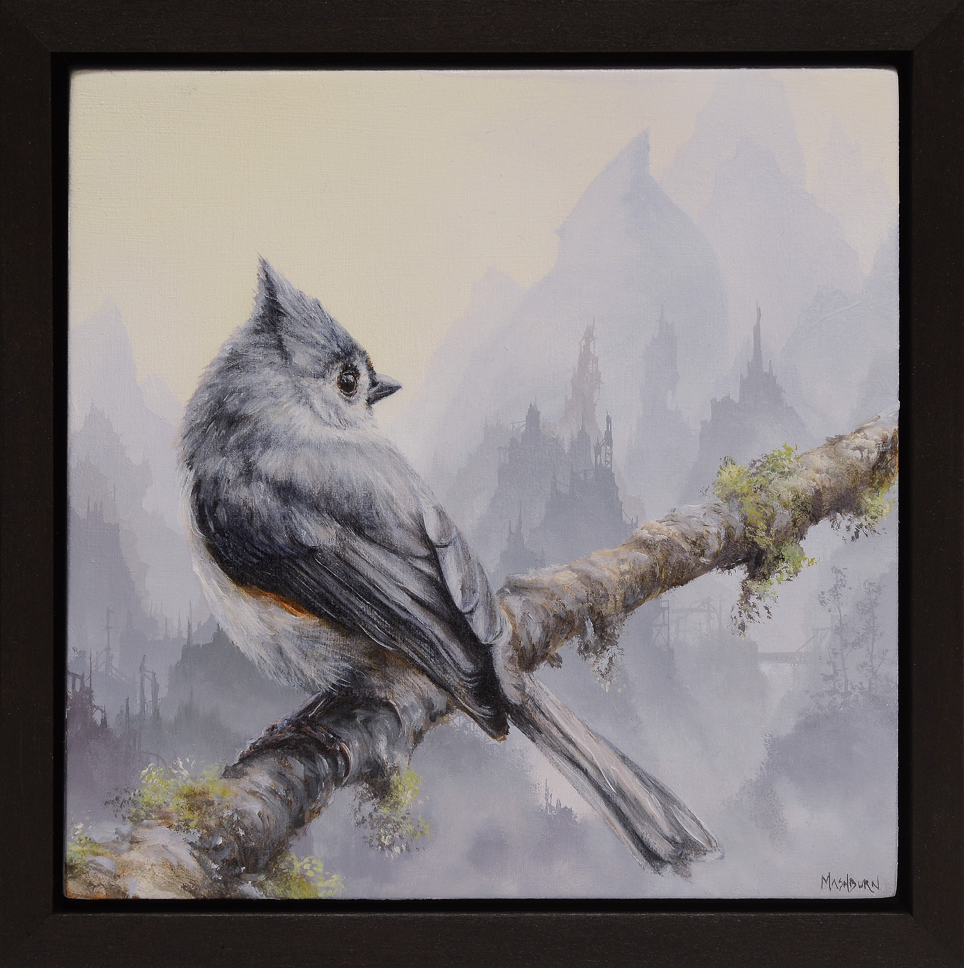 Tufted Titmouse by Brian Mashburn