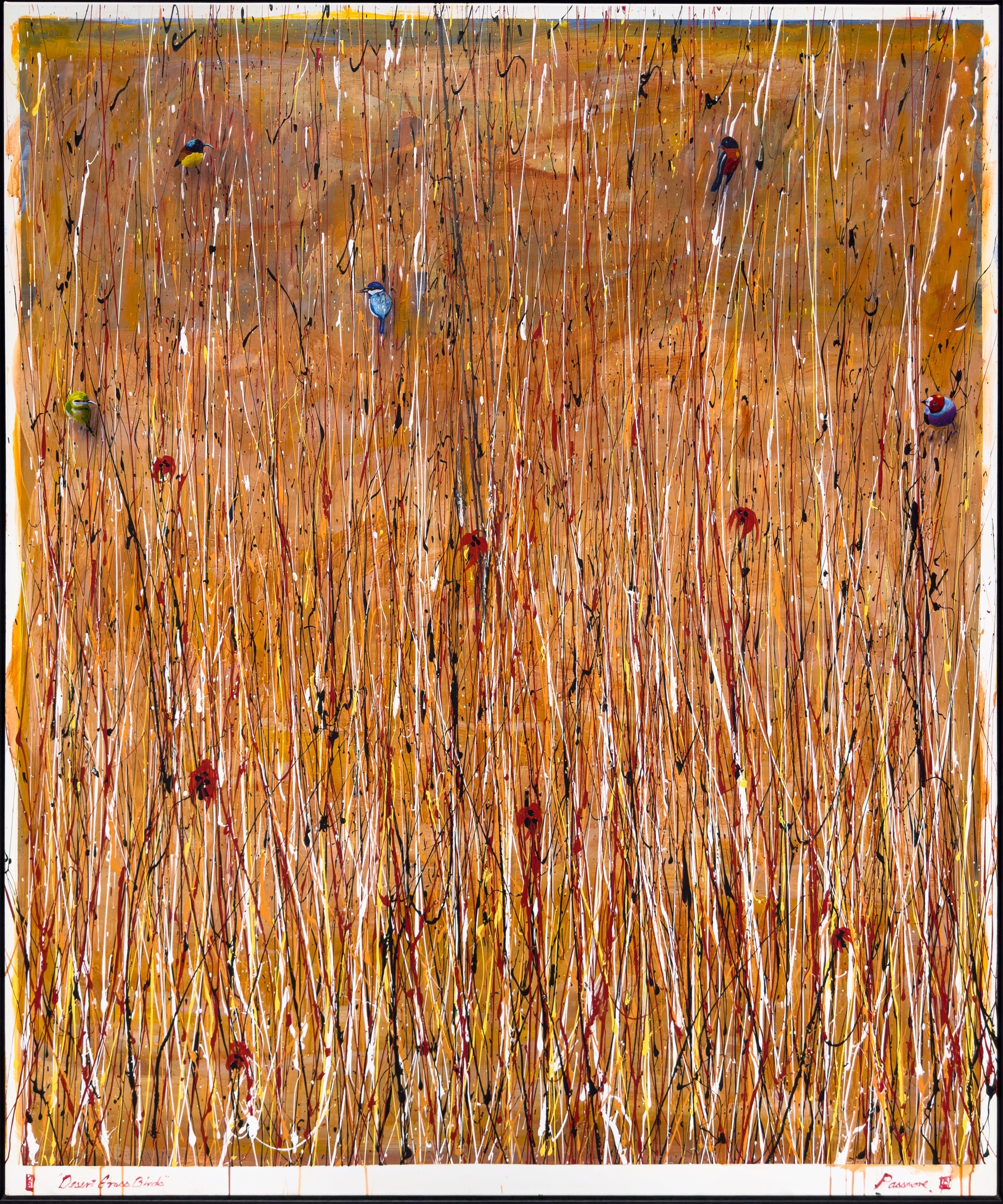 Desert Grass Birds by Colin Passmore