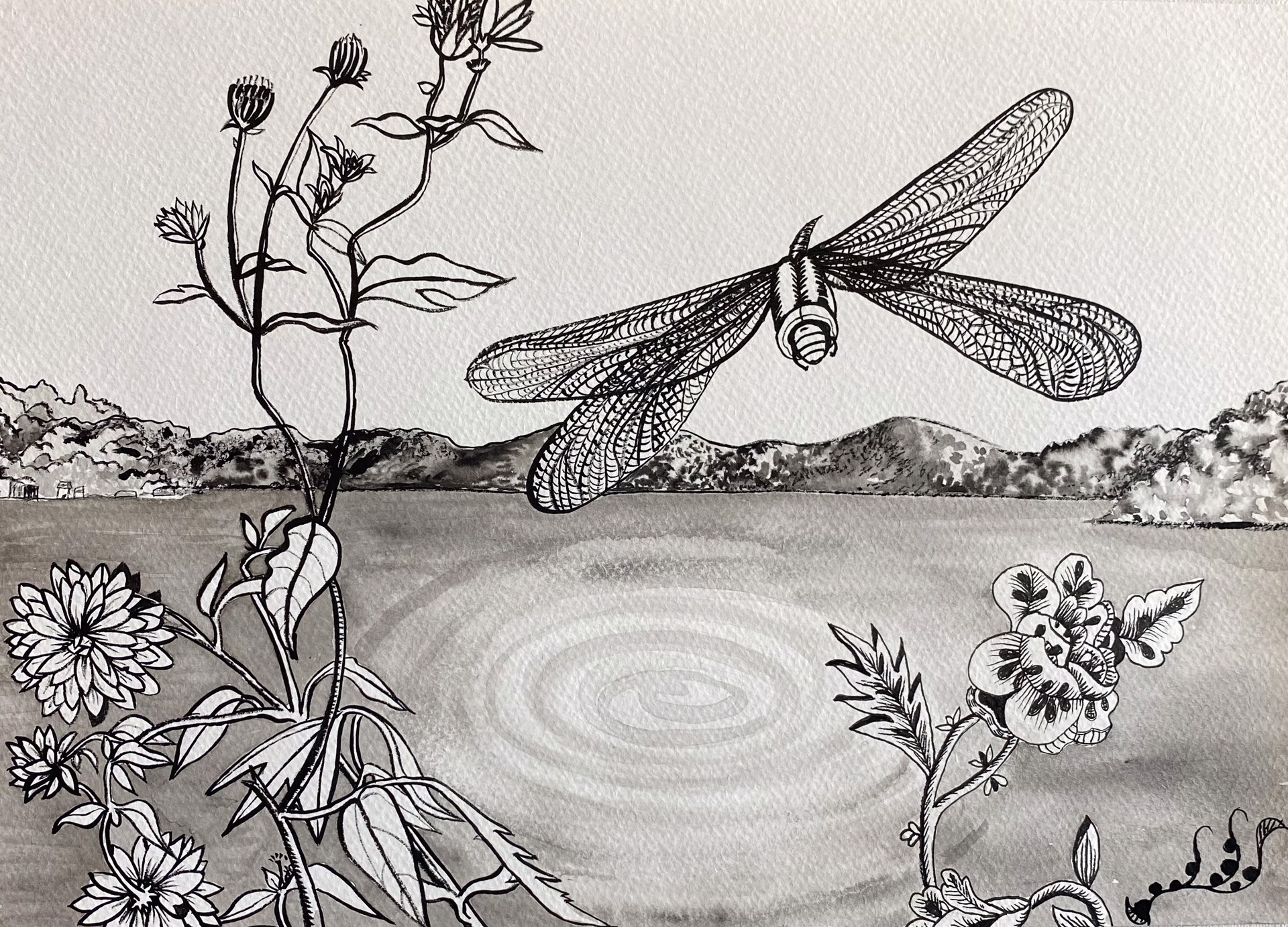 Dragonfly by Jill Slaymaker