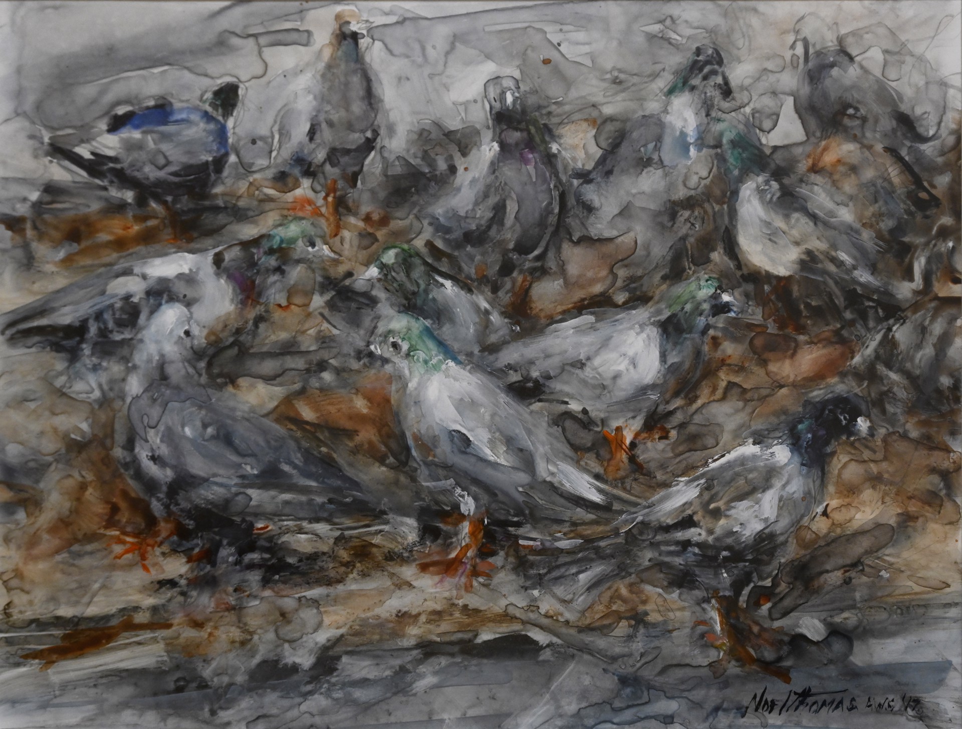 Pigeon Frenzy by Noel Thomas