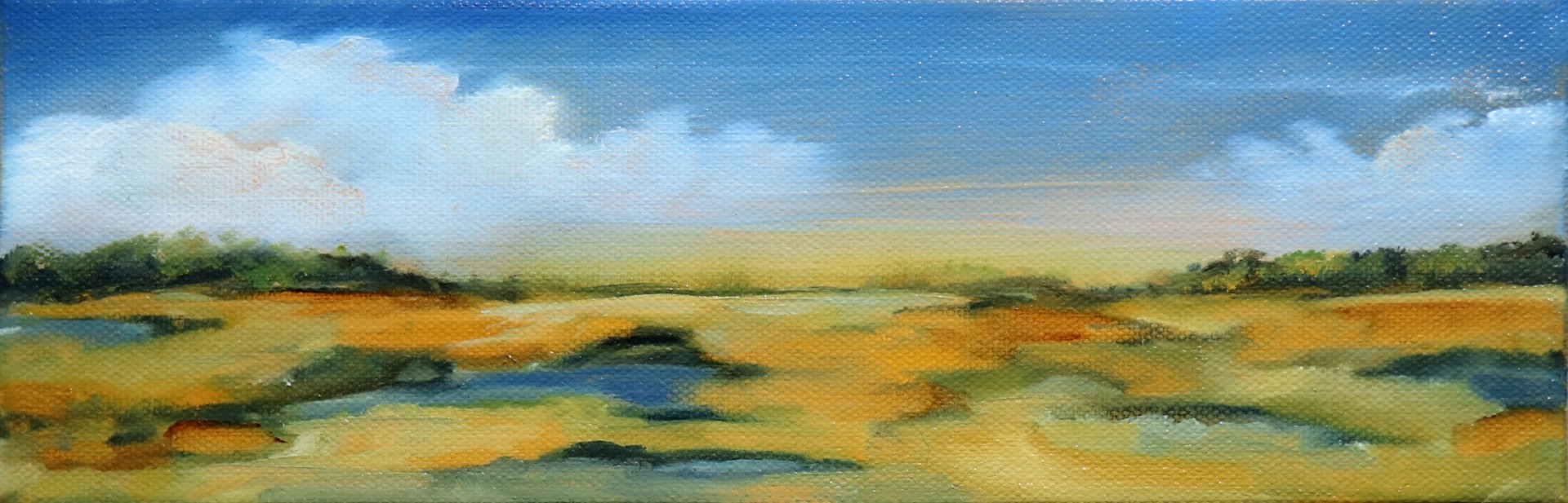 Prairie View by Nancy Betty