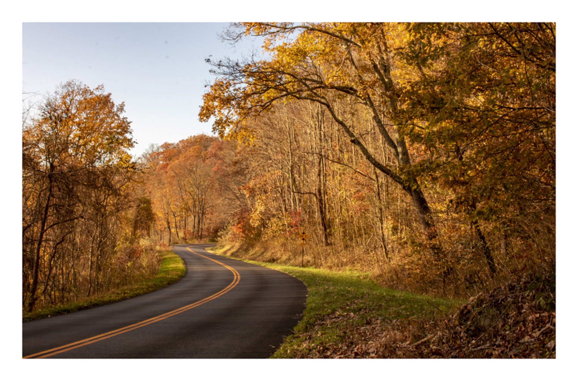 Blue Ridge Parkway Fall by Sara M. Baurley