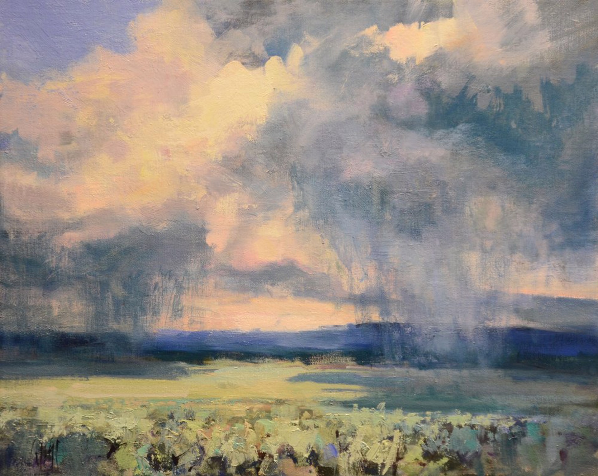 High Plains Rain by Mike Wise