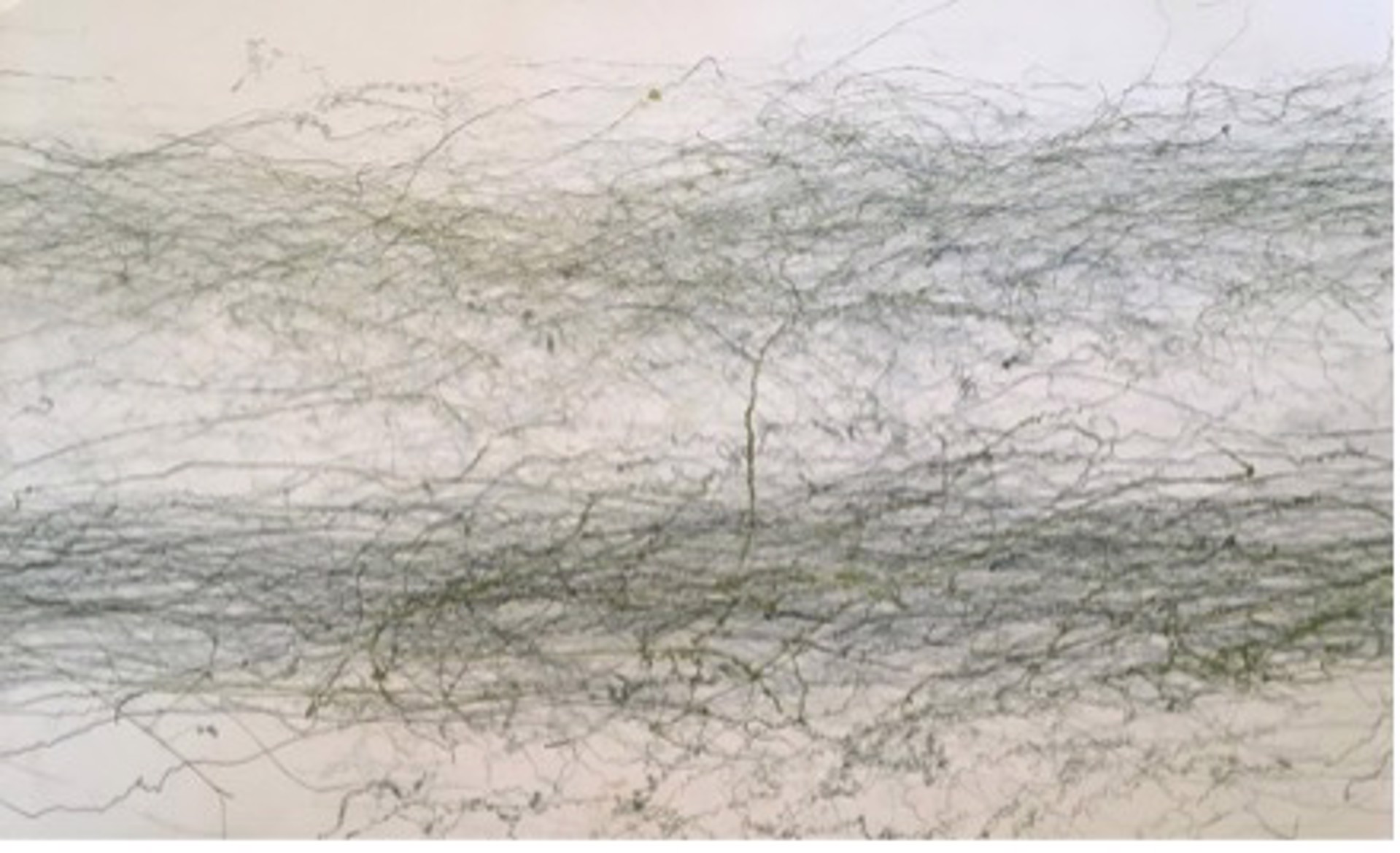 obscure clarity (series of 8)(1) by Liz Sargent