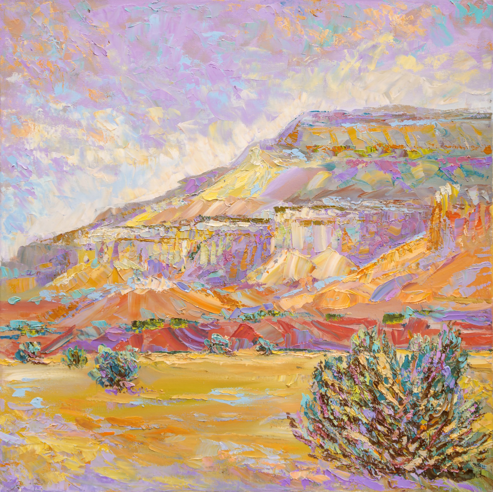 "Faraway Mesa, Nearby Ghost Ranch" by Barbara Meikle