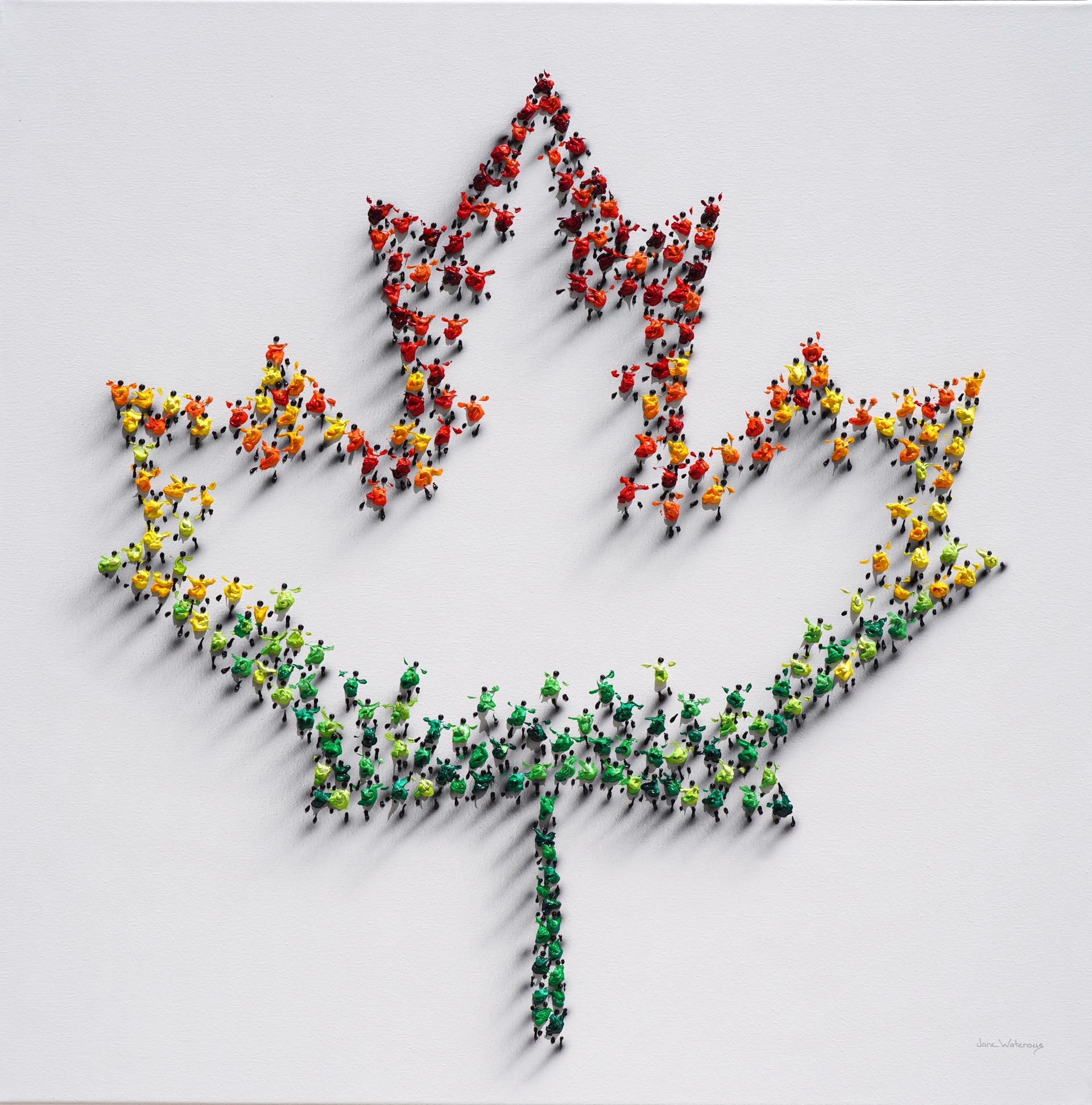 Maple Leaf by Jane Waterous
