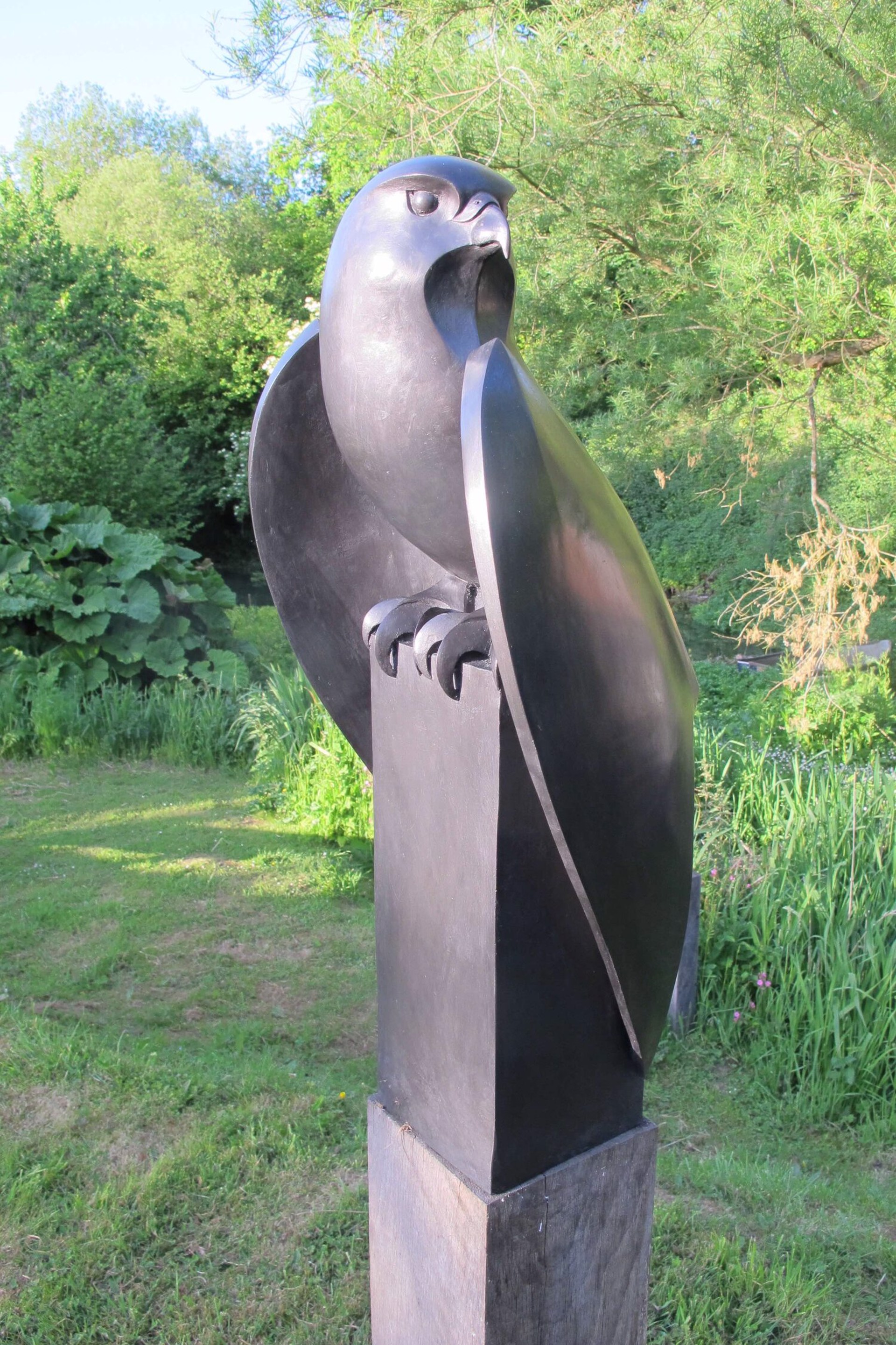 Peregrine by Paul Harvey