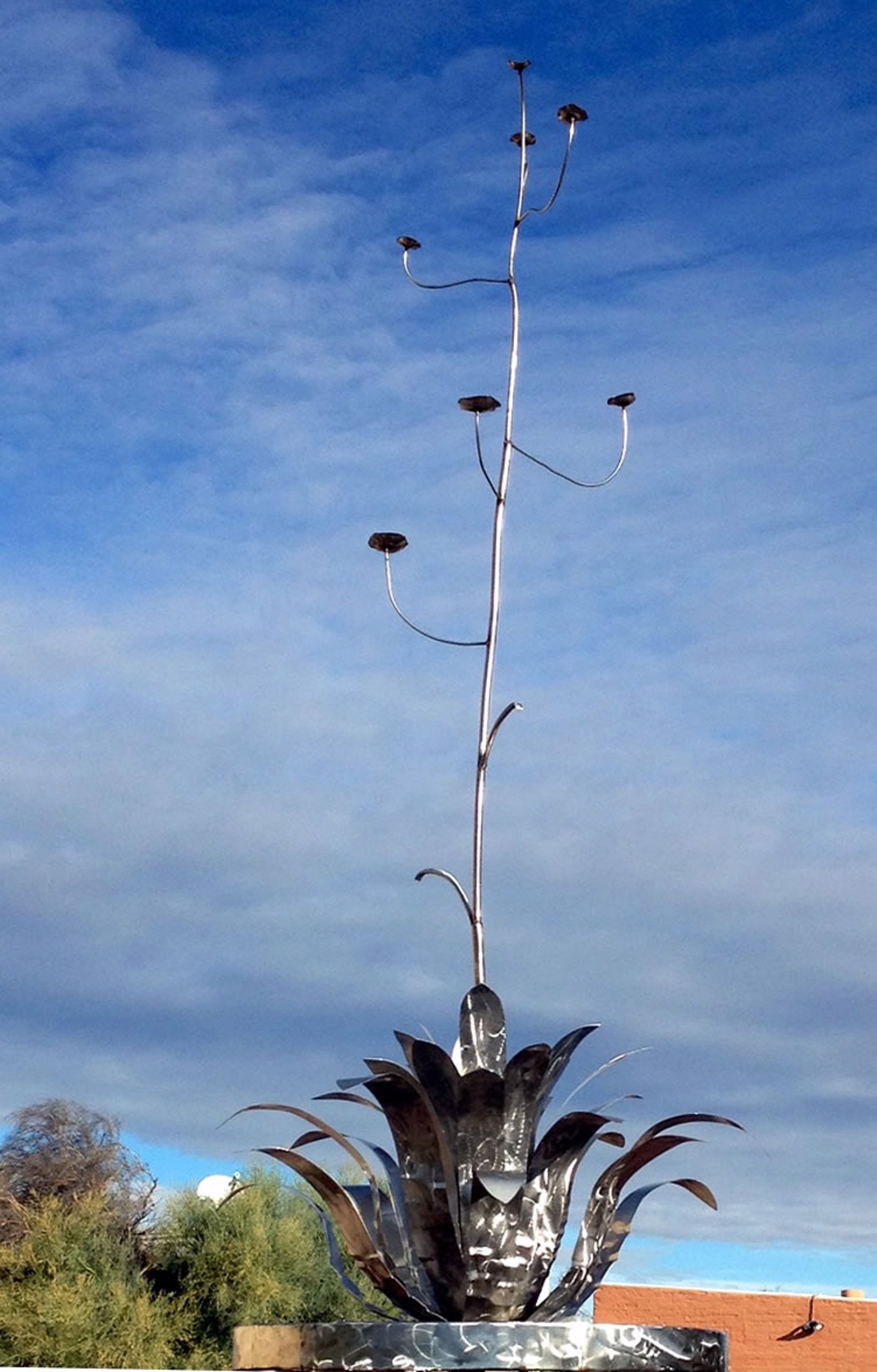 Agave In Stainless Steel by David Voisard