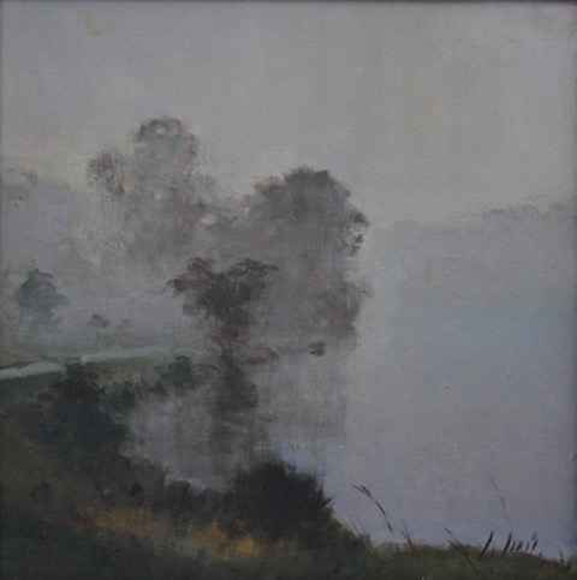 Fog Study II by Julyan Davis