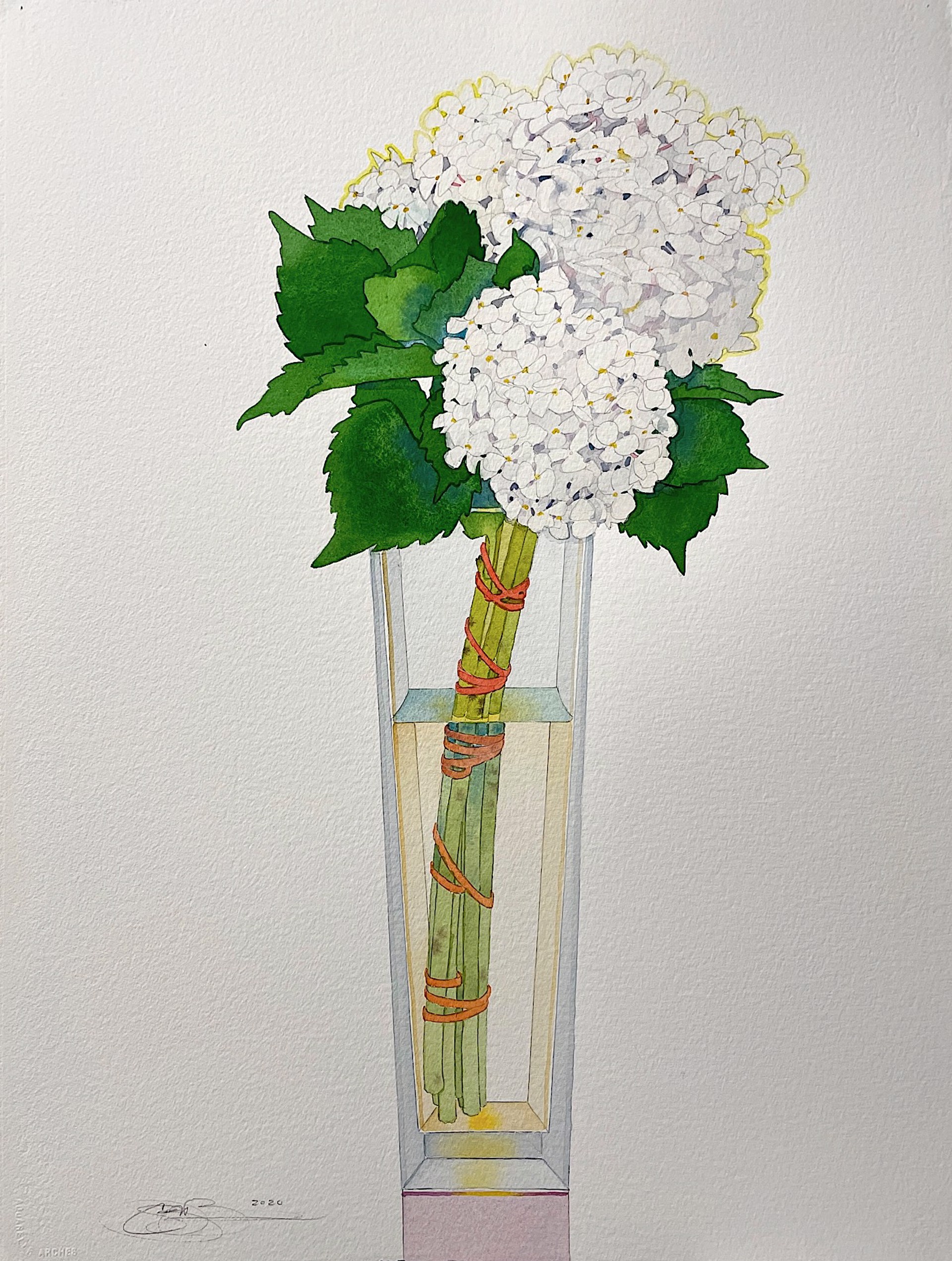 White Hydrangea in a Tall Vase by Gary Bukovnik