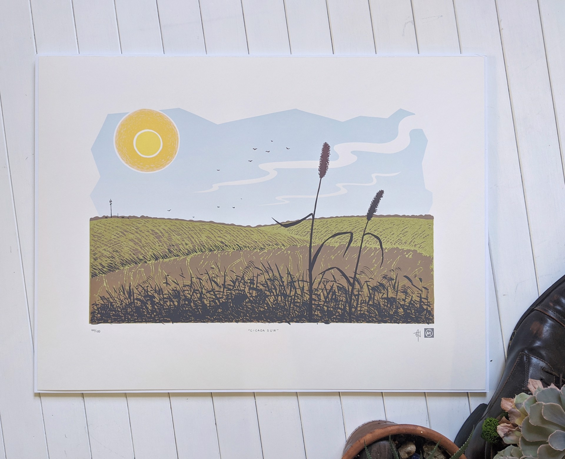 Cicada Sun by Allison & Jonathan Metzger