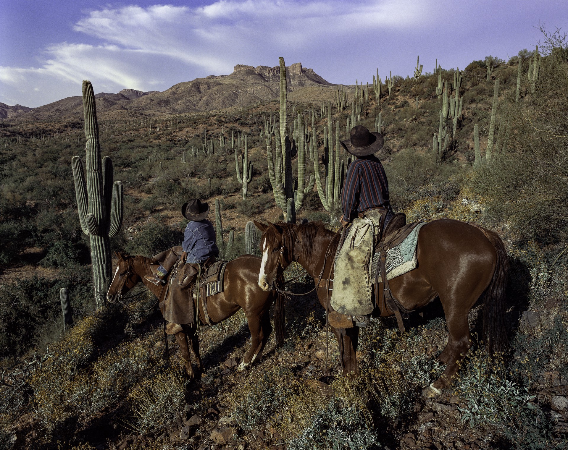 Sonoran Glow by Beau Simmons