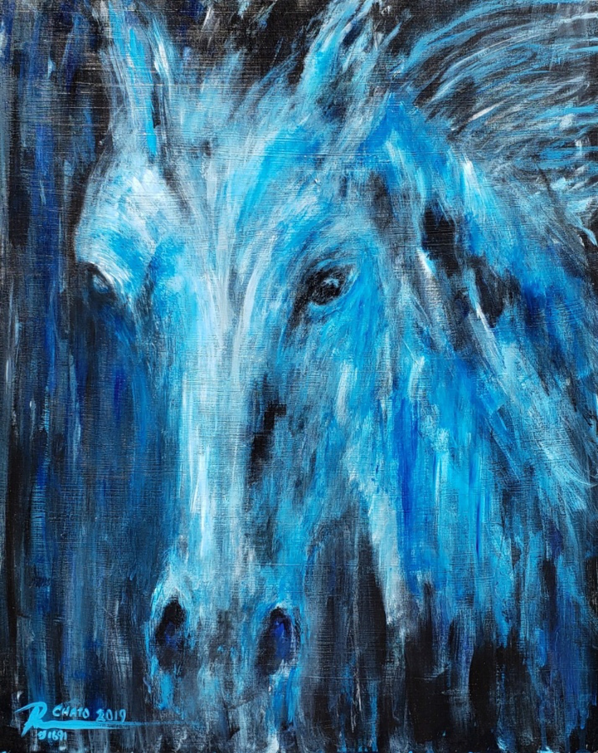 Spirit Horse Night by Ruben Chato