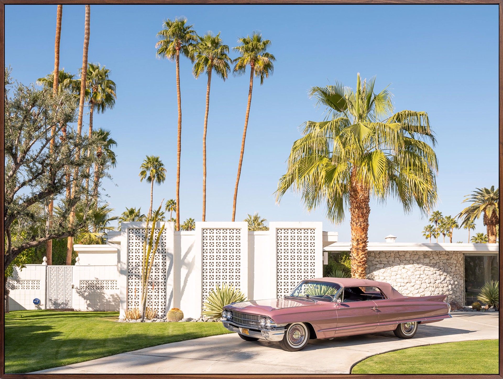 Cadillac Dreams by Patrick Lajoie