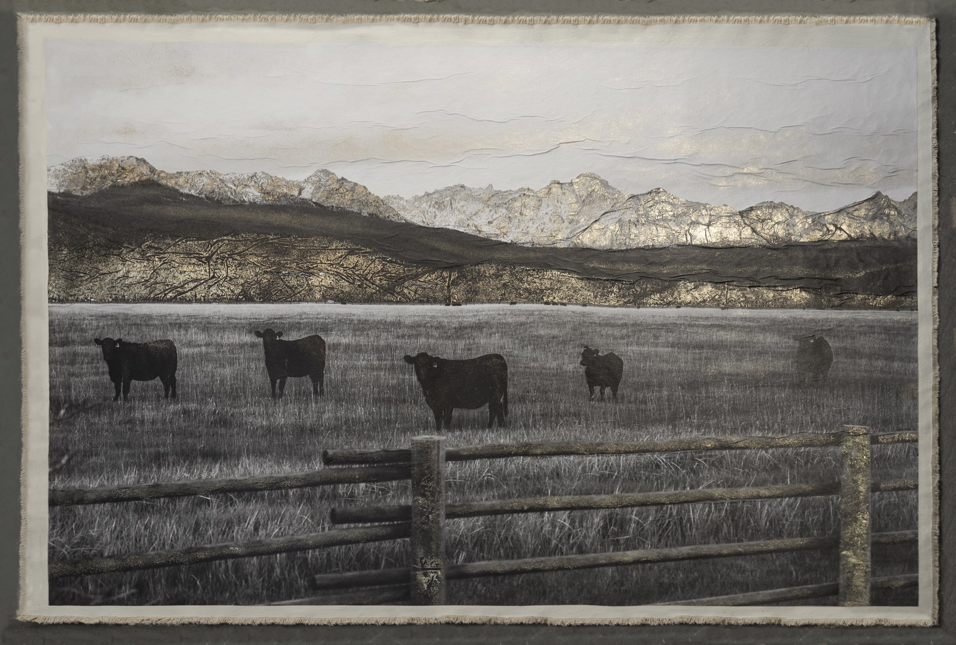 Cattle in the Sawtooth Valley by Bill Claps