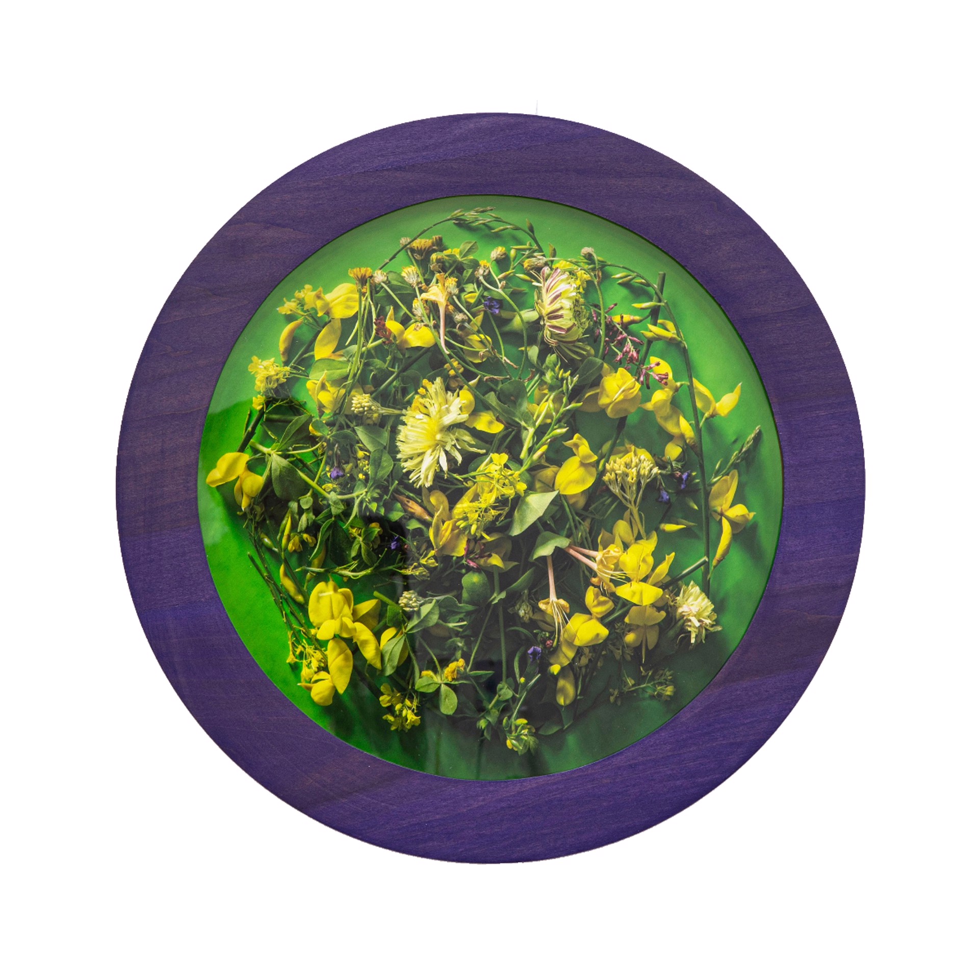 A Study of Yellow by Kalee Appleton