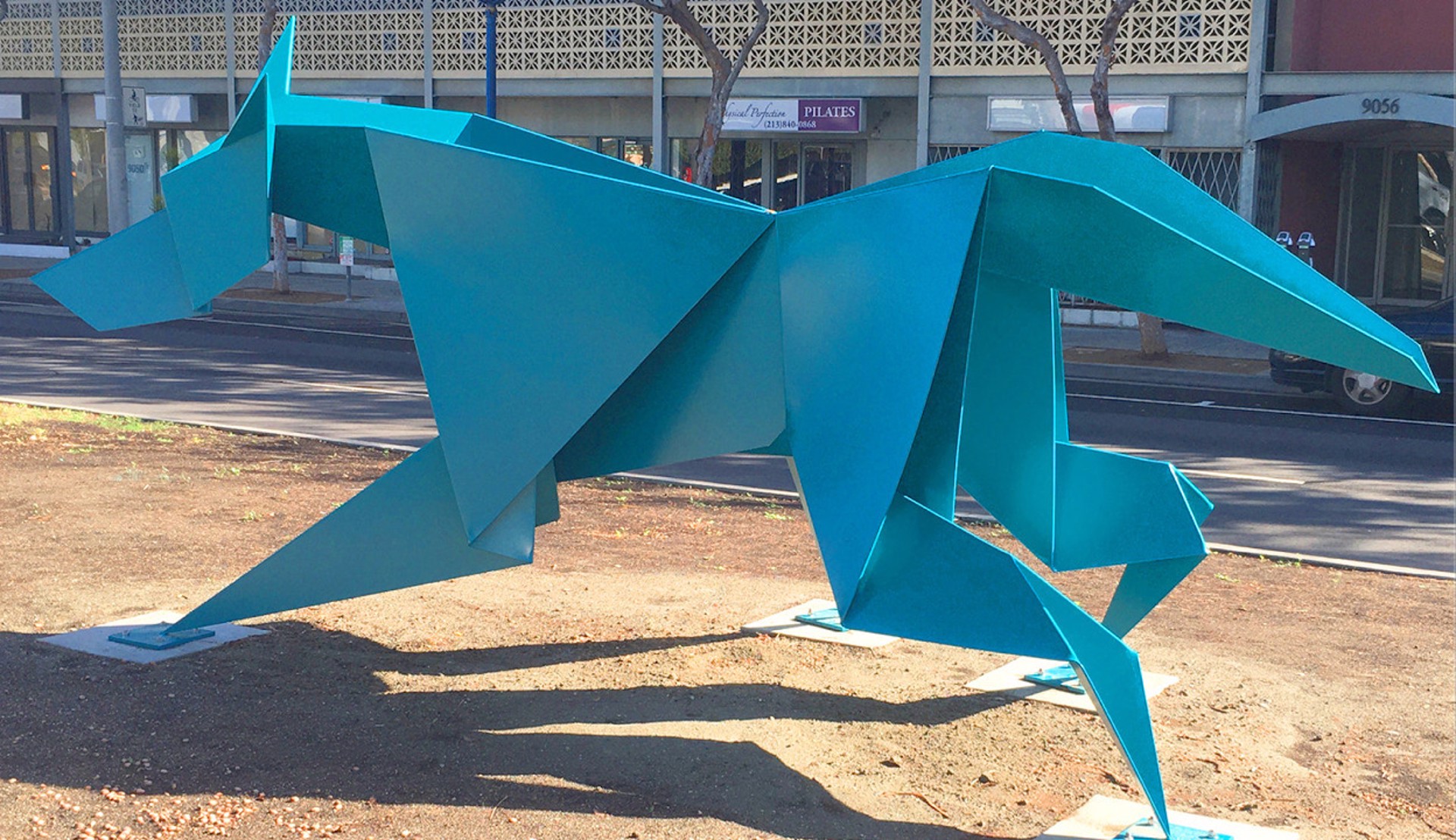 Coyote, Running by Hacer