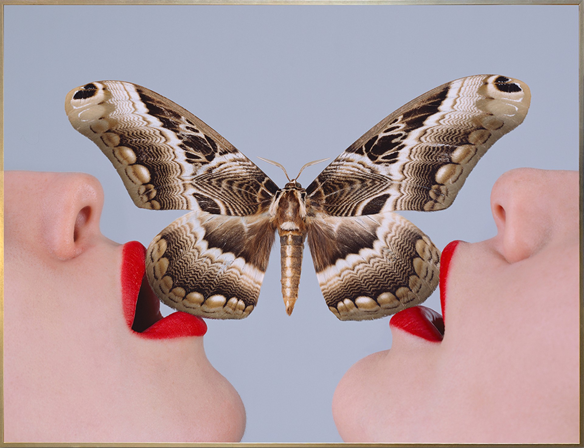 Butterfly by Tyler Shields