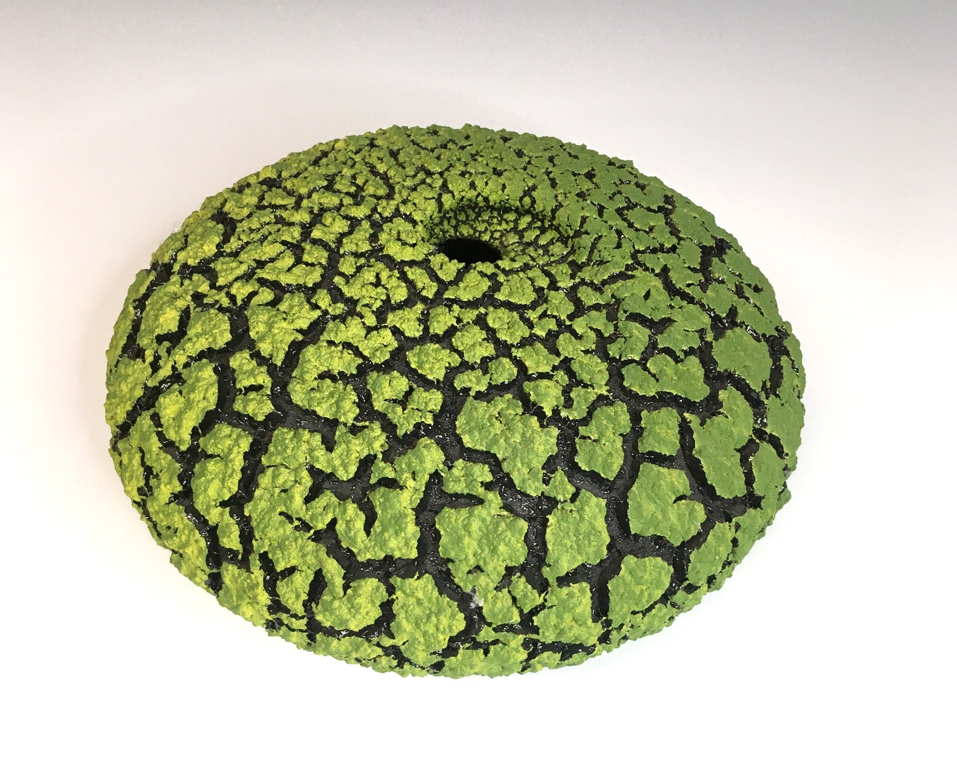 Lime Green Lichen Vessel by Randy O'Brien