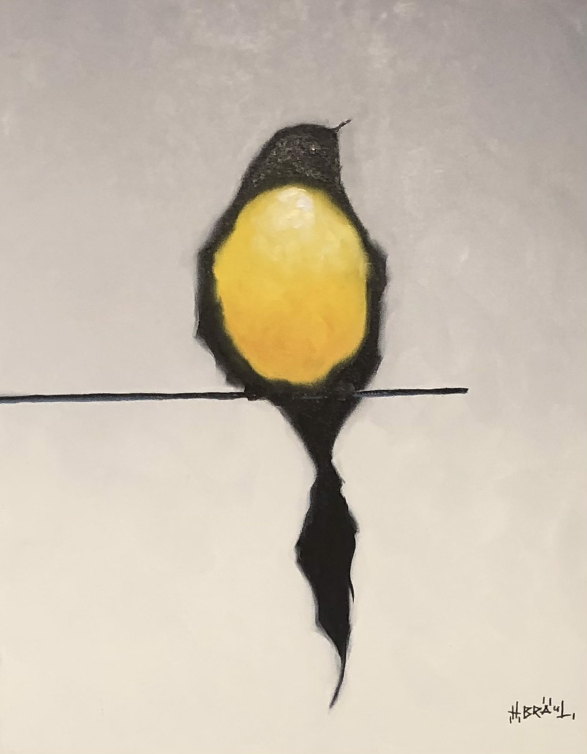 Yellow Bird by Harold Braul
