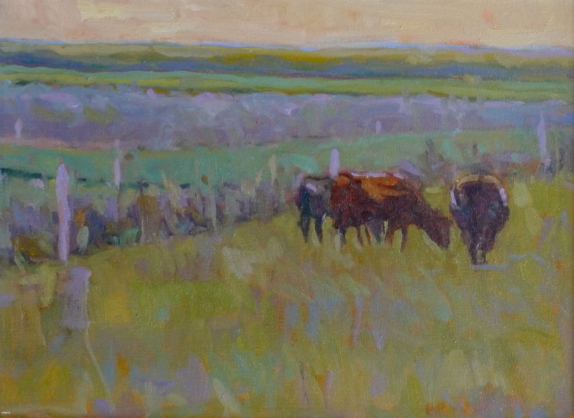 Cows at Evening by Chris Gargan