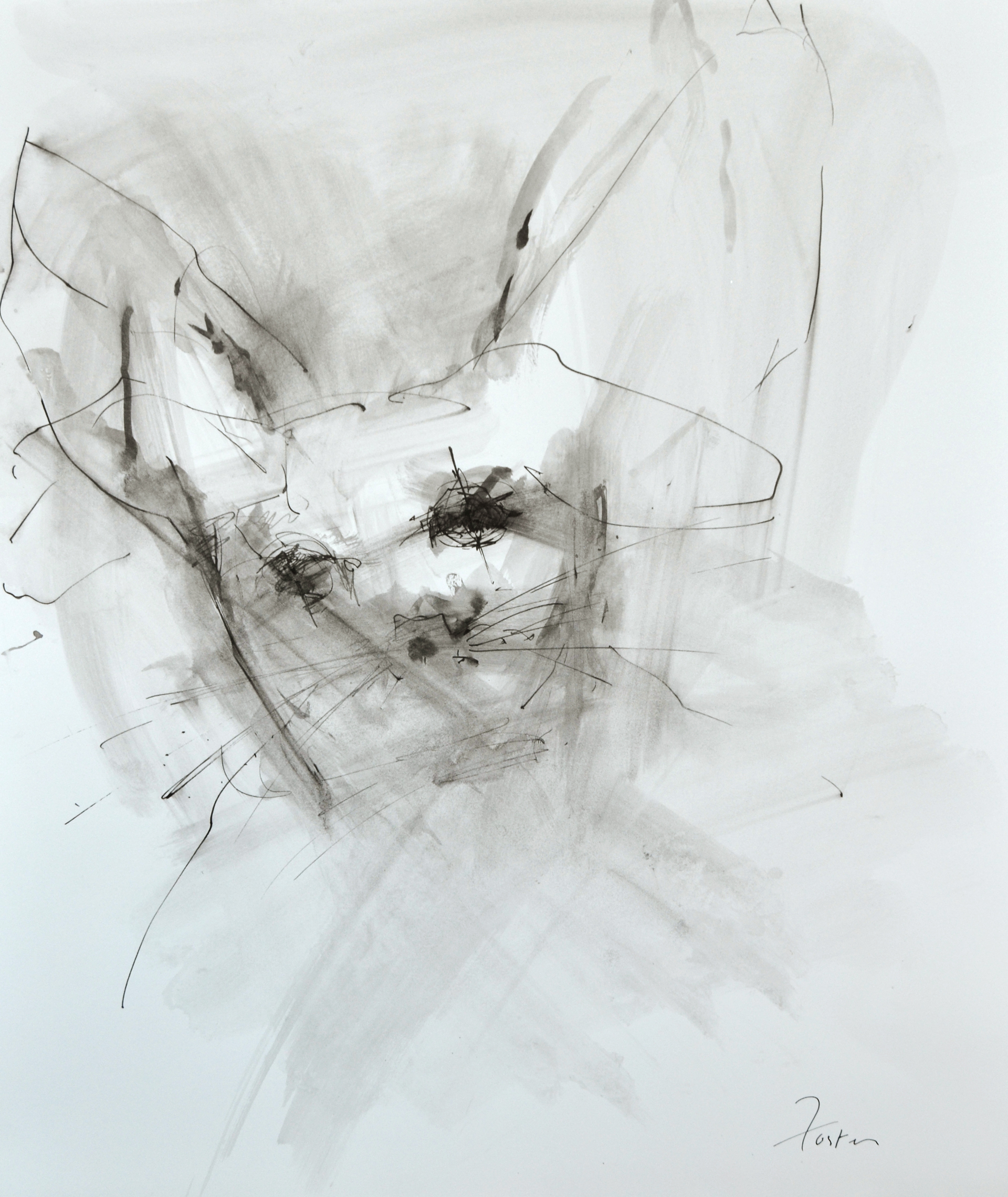 Rabbit Face by Gail Foster