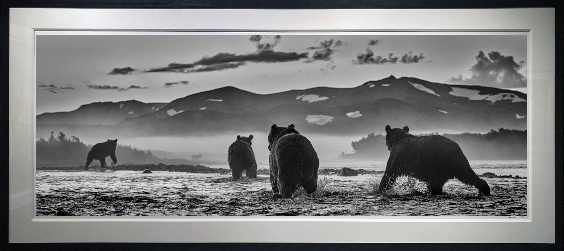 Bear Market by David Yarrow